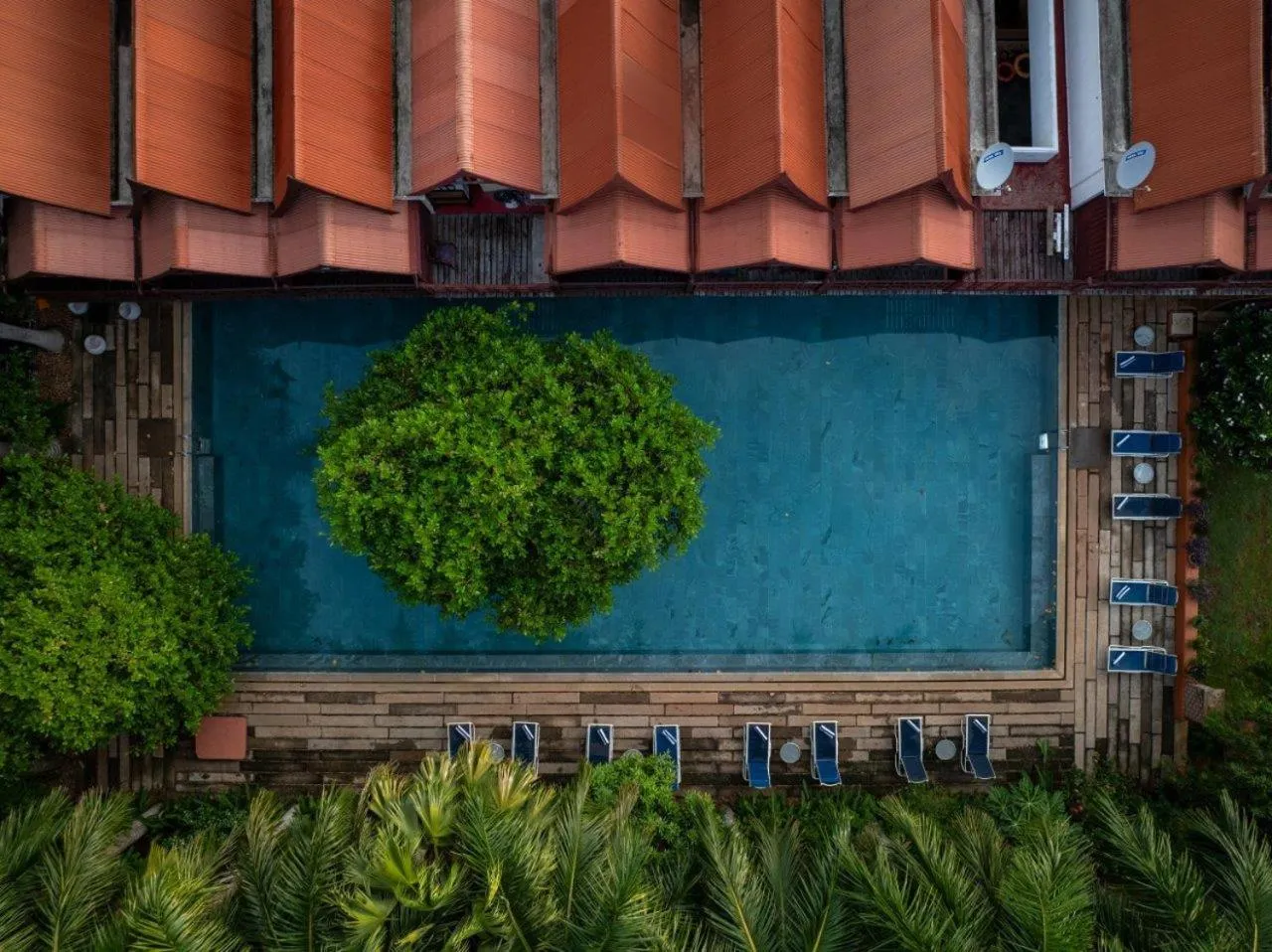 Mango Hill Auroville Pondicherry