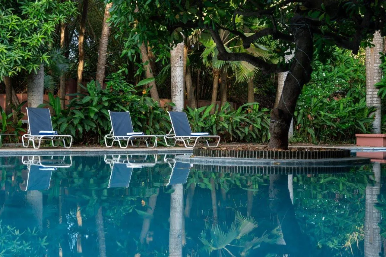 Mango Hill Auroville Pondicherry