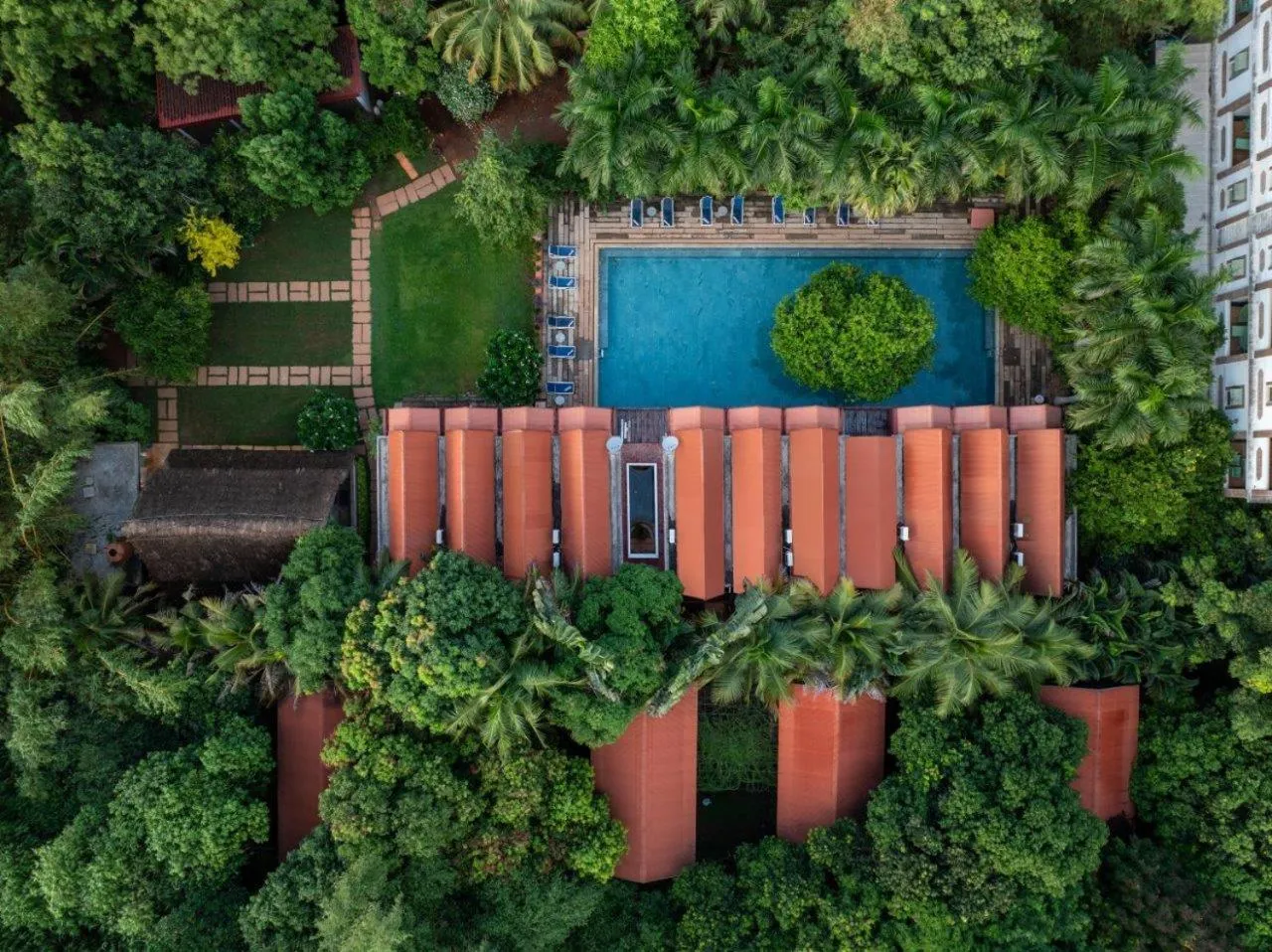 Mango Hill Auroville Pondicherry