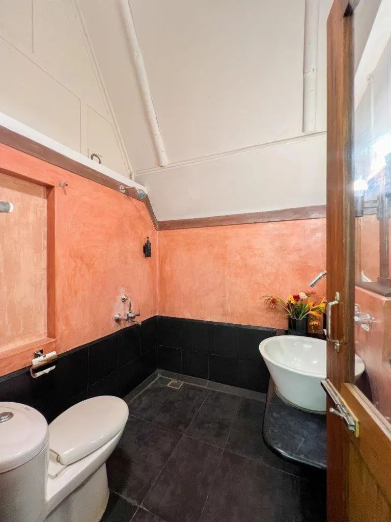 Mango Hill Auroville Pondicherry