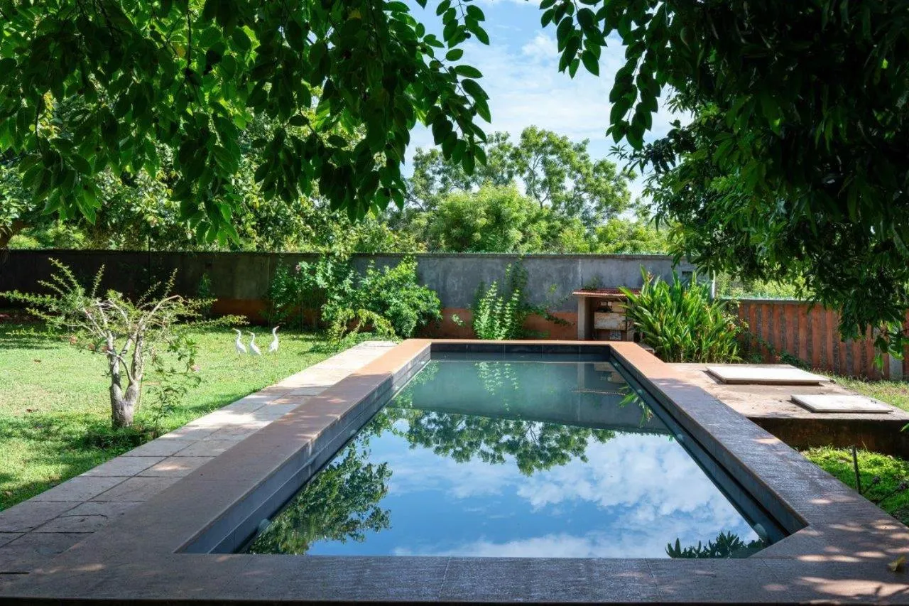 Mango Hill Auroville Pondicherry