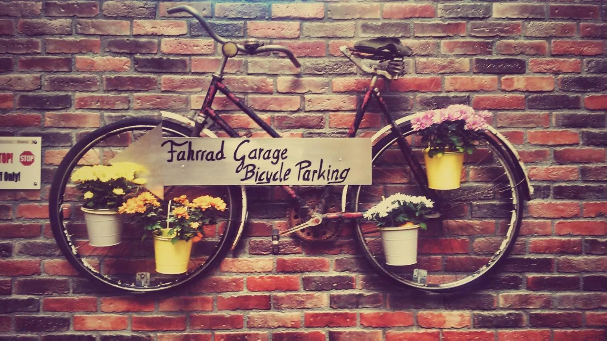 Activities in Do Step Inn Home - Hotel & Hostel