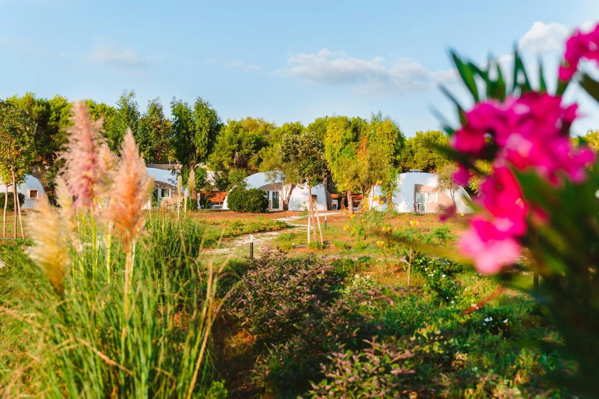 Property building in Torre Cintola Greenblu Sea Emotions