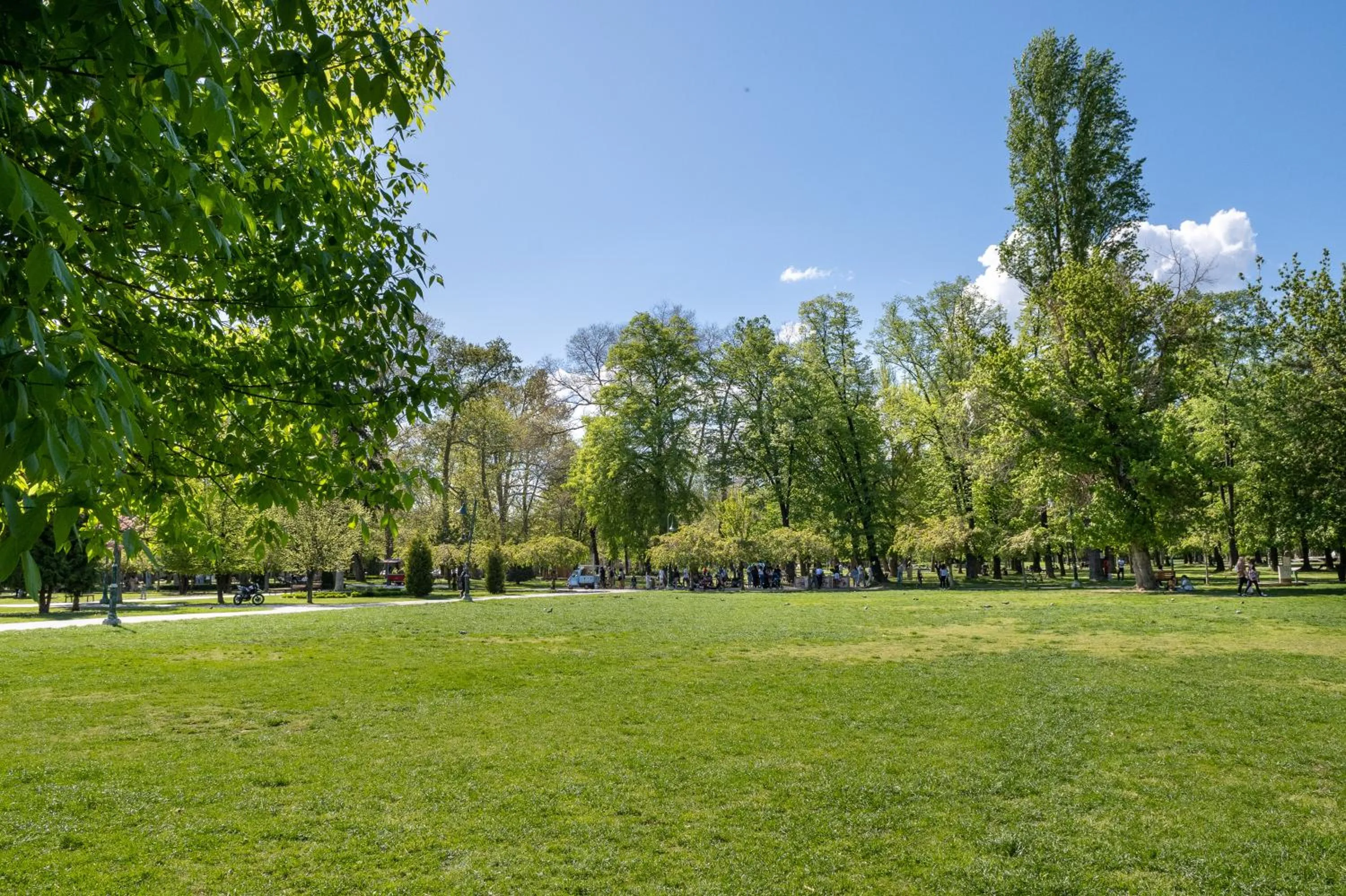 Natural landscape in B&B Kanet