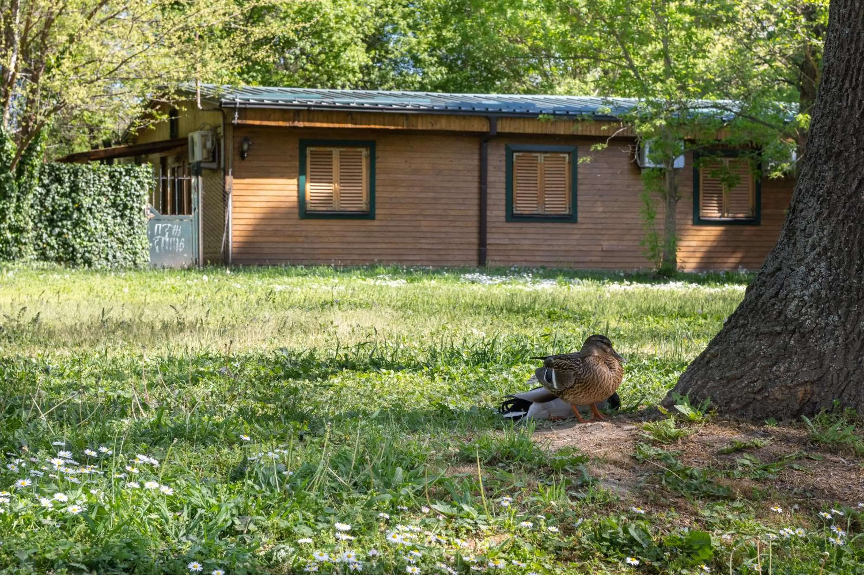 Property building in B&B Kanet