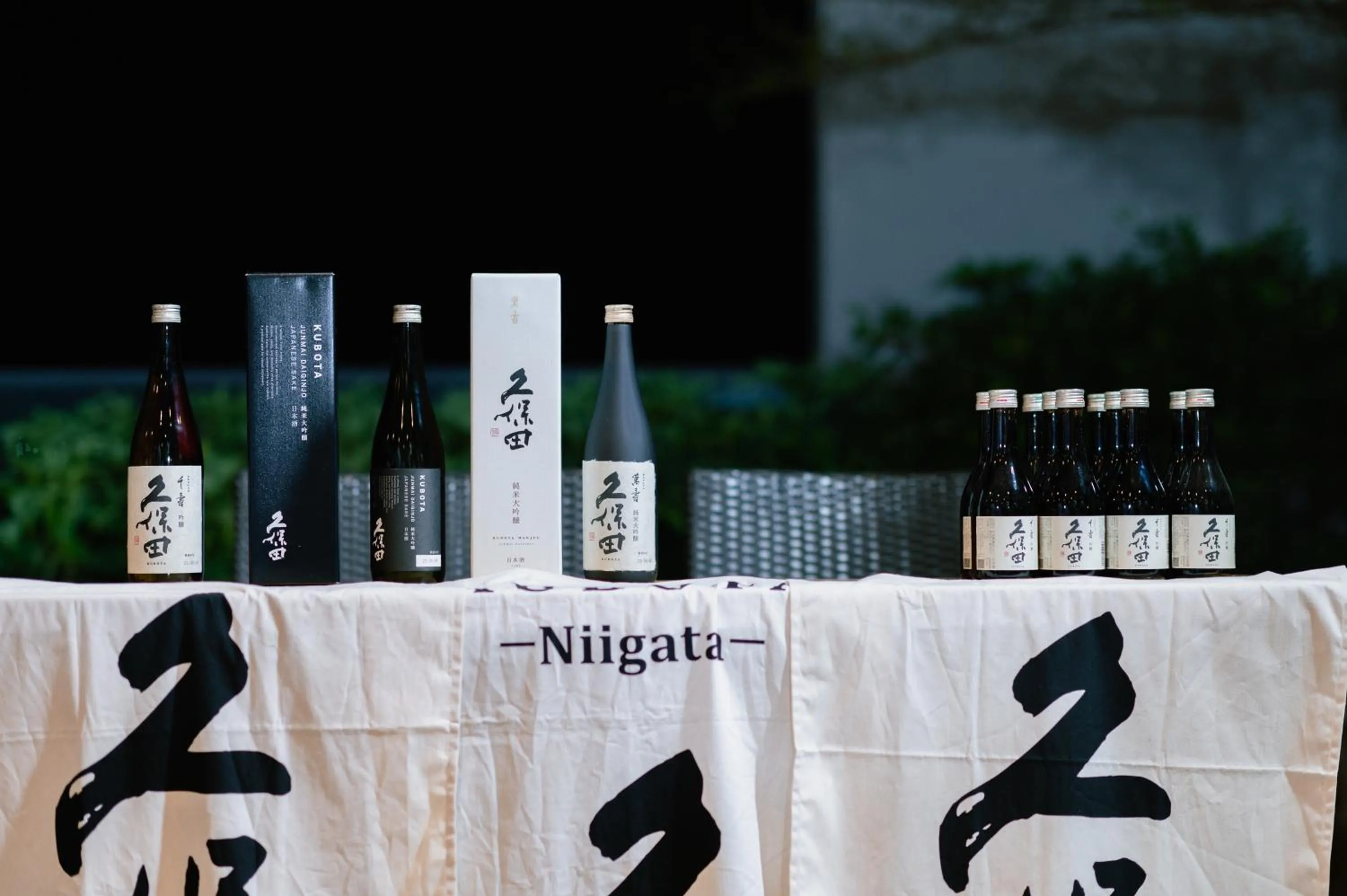 Night in The View Serviced Residence 豪景日式酒店公寓