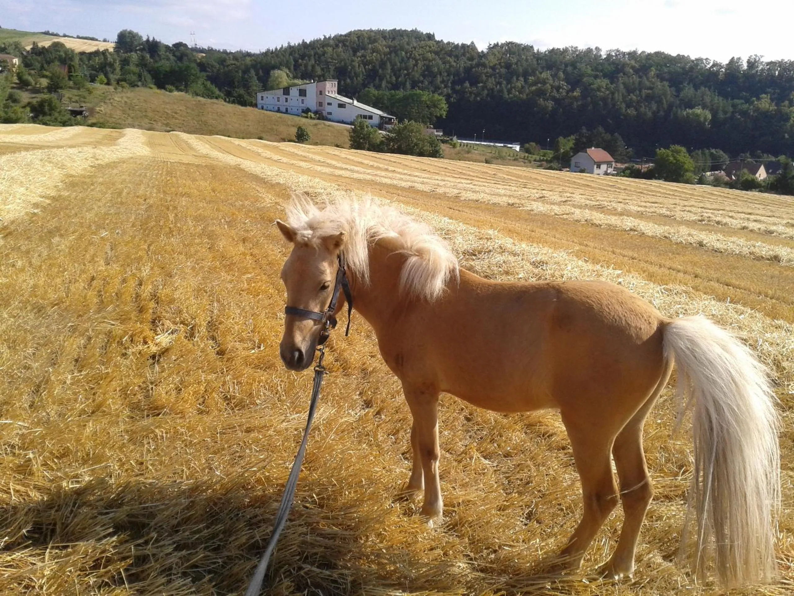 Neighbourhood in Hotel Admiral