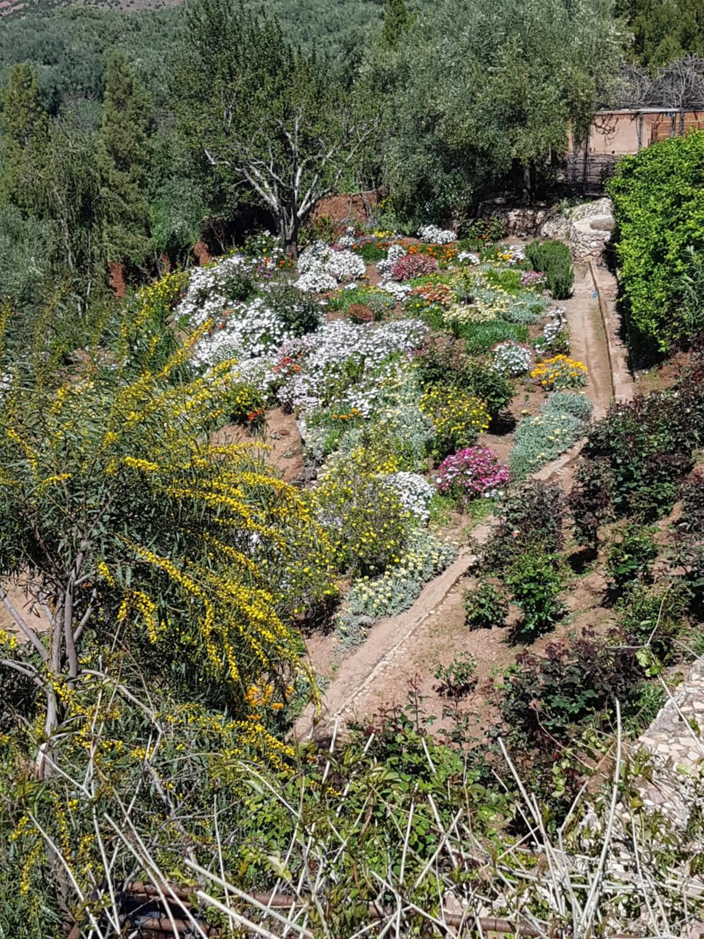 Garden in Domaine La Source