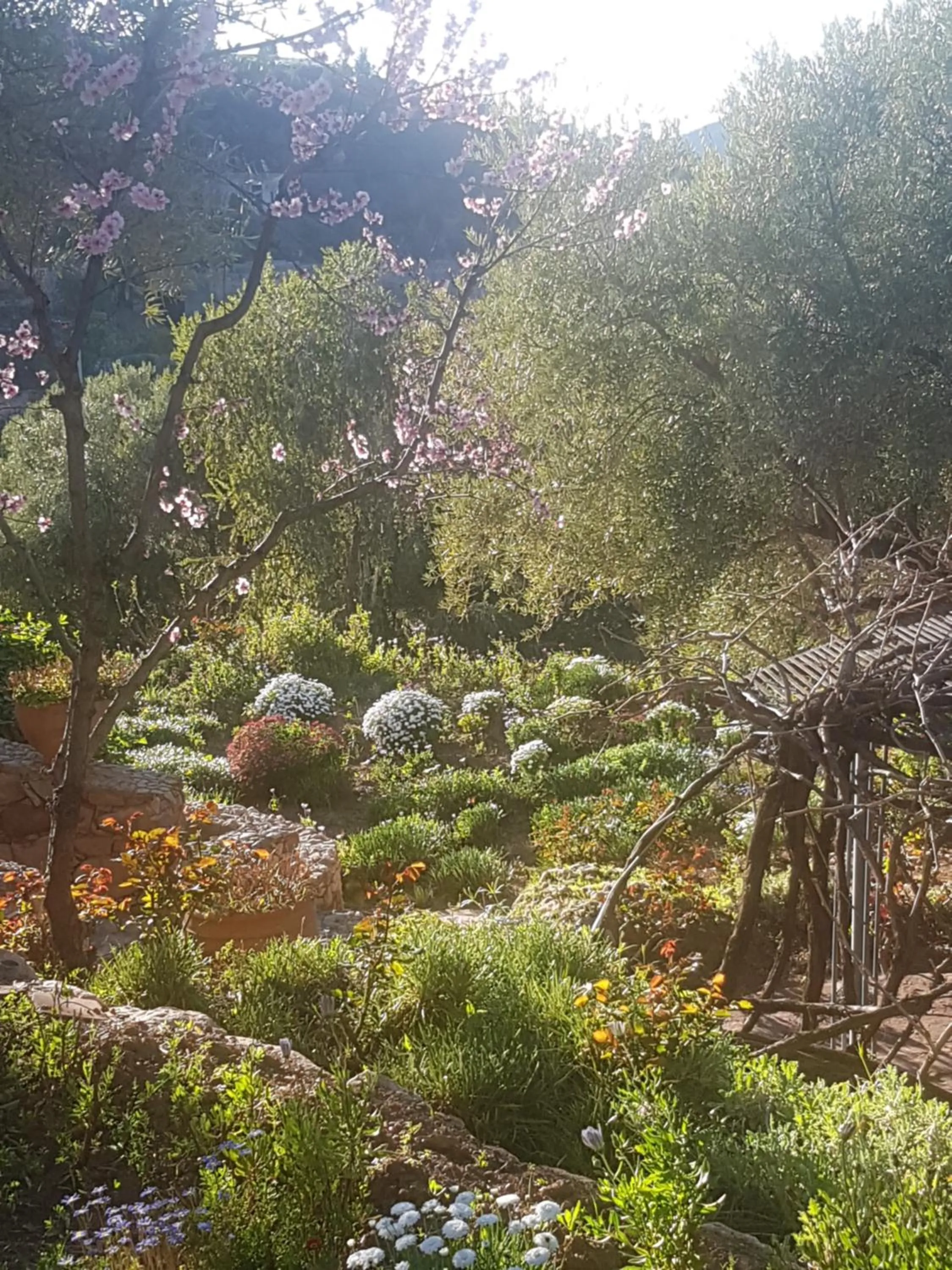 Garden in Domaine La Source