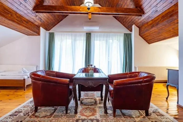 Living room in Vila Zorile