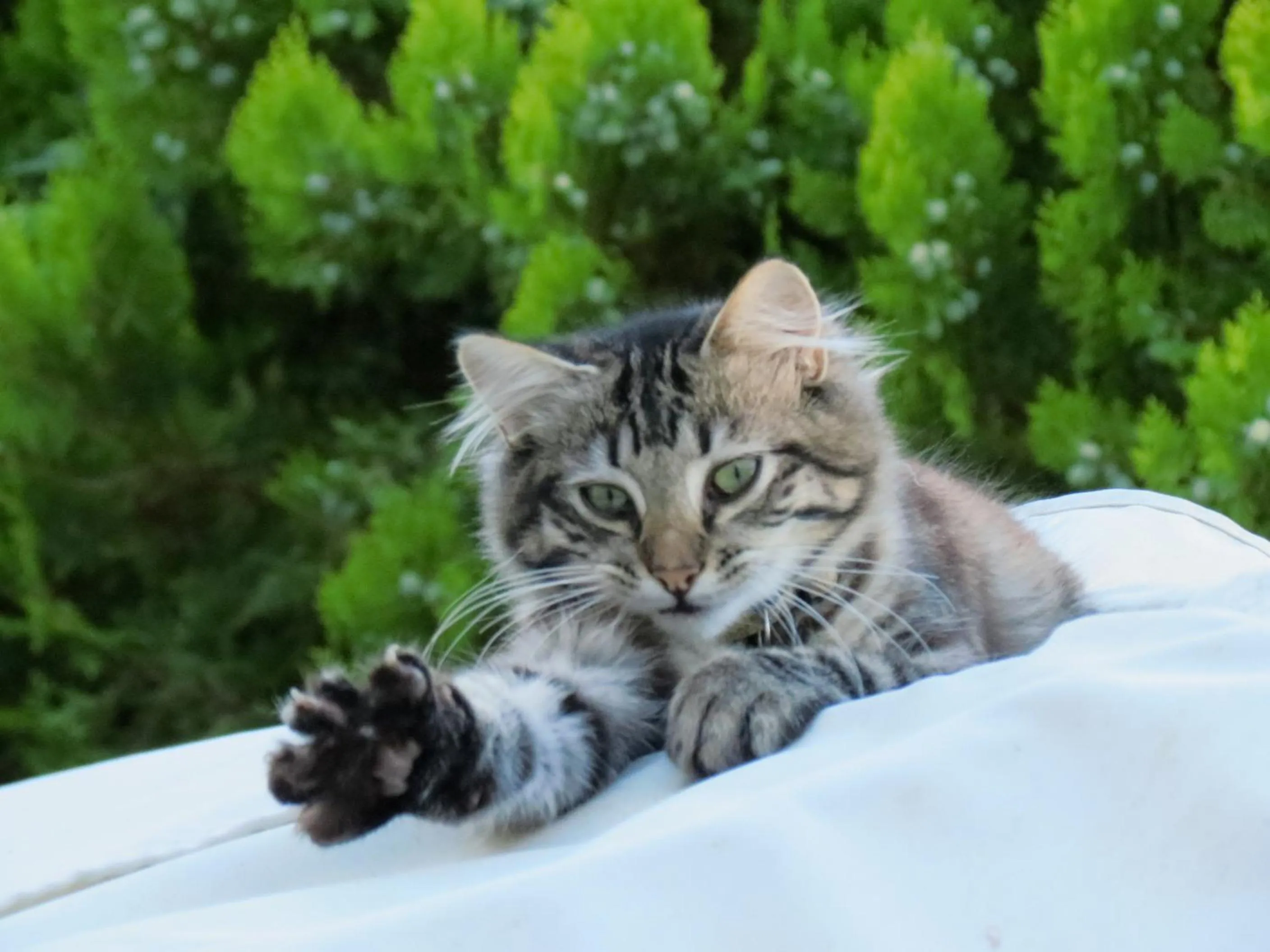 Other in Edenwood House