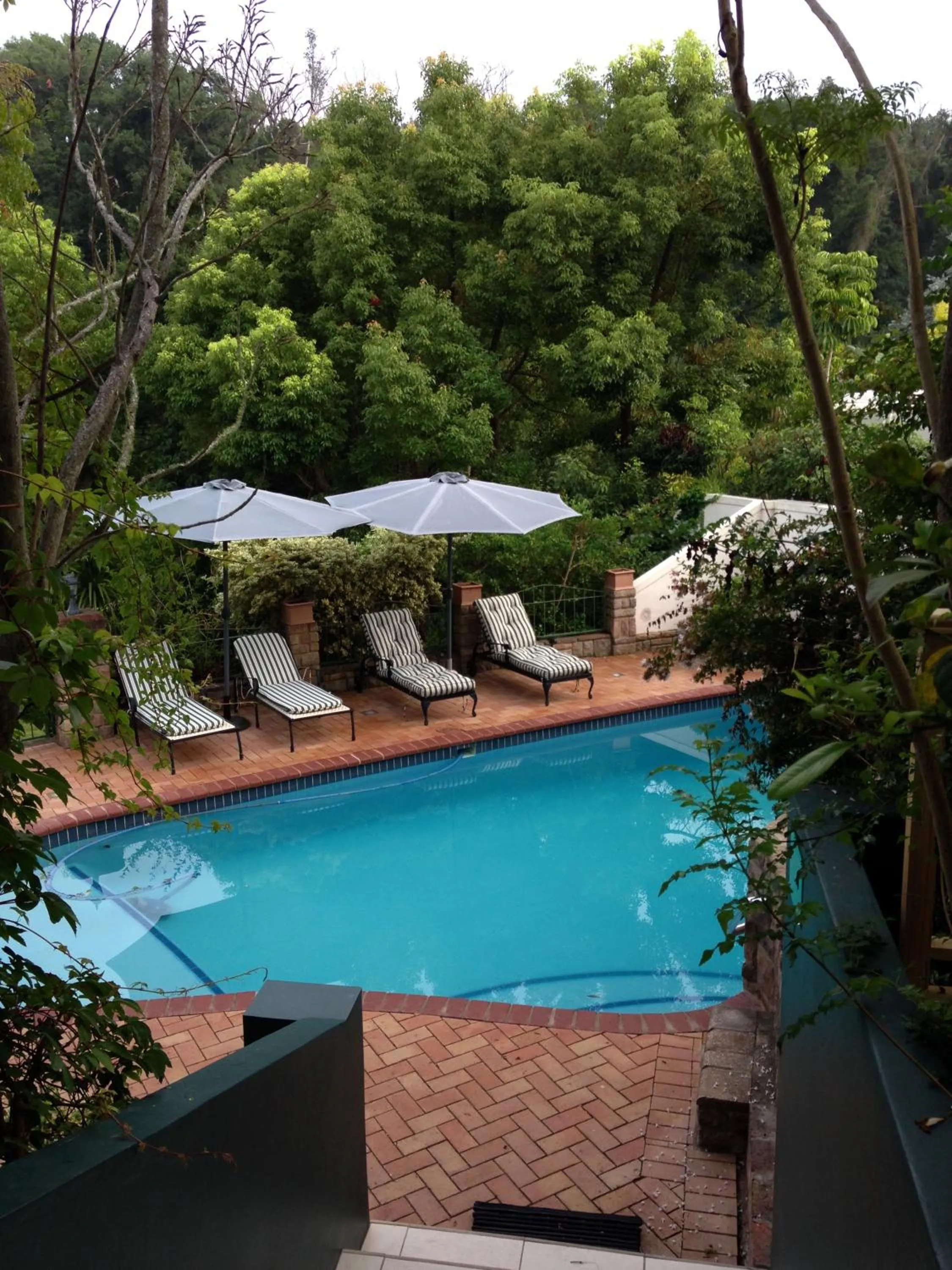 Winter in Edenwood House