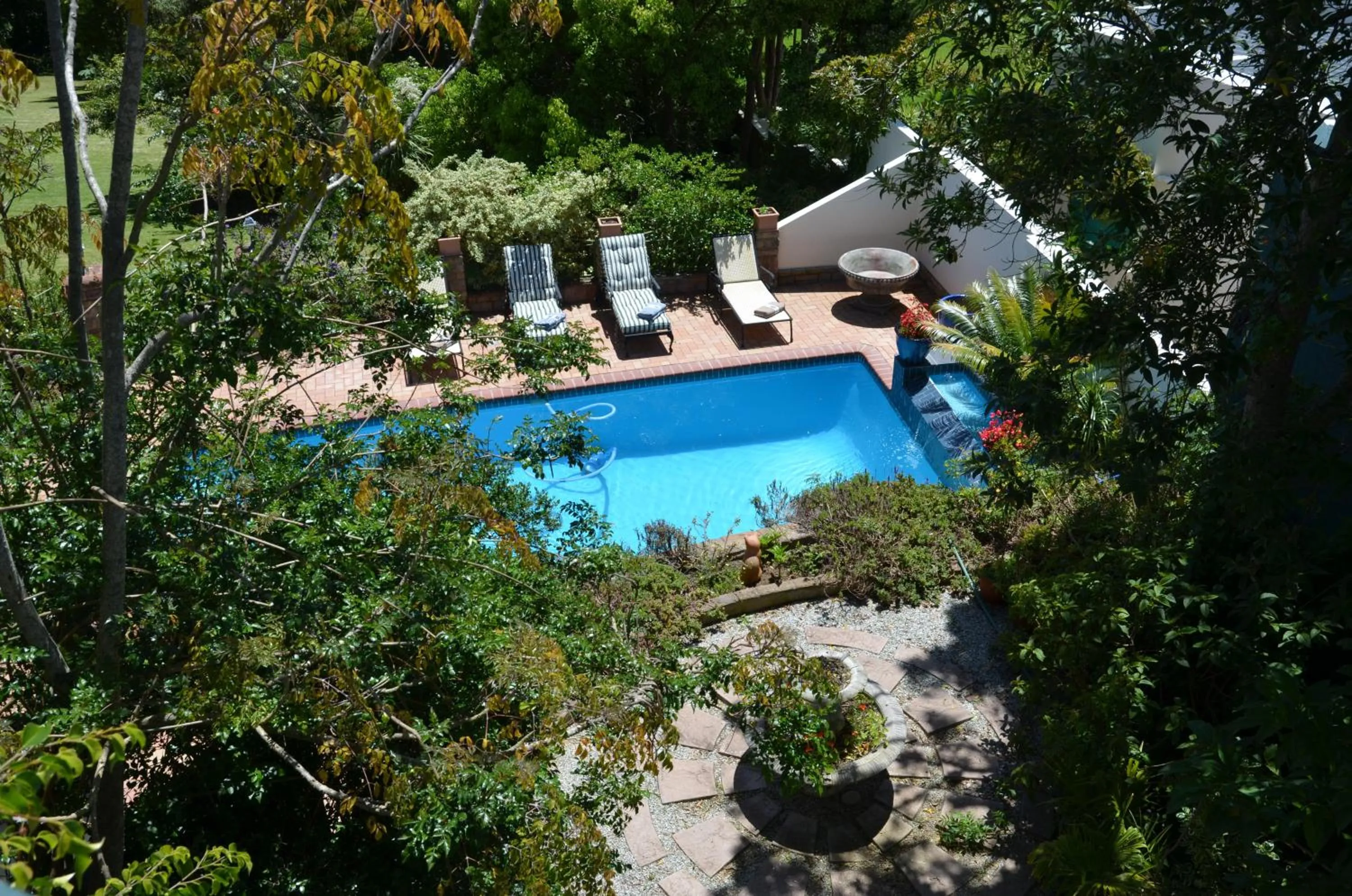 Swimming pool in Edenwood House