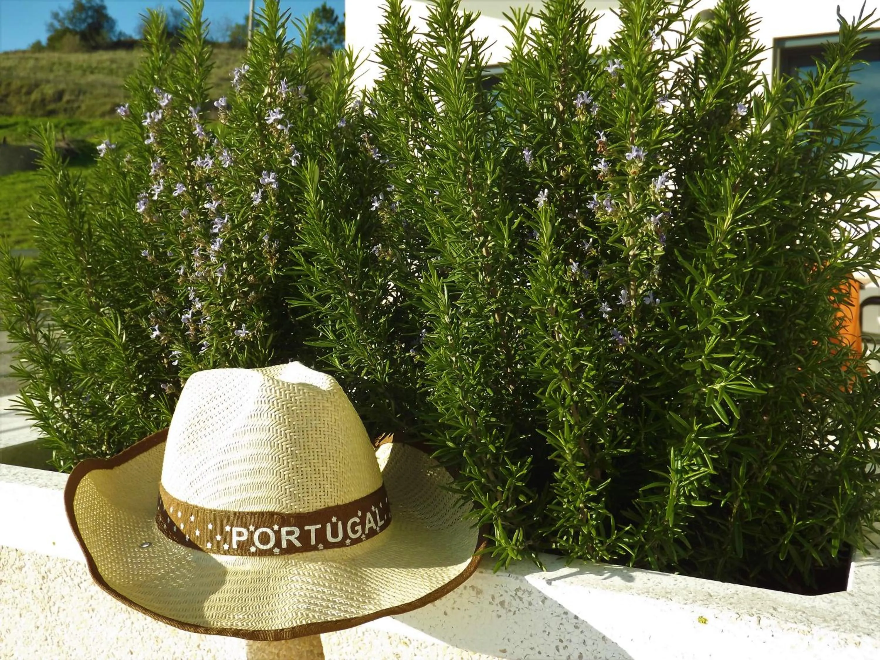 View (from property/room) in Casa Ceedina Bed And Breakfast & Beauty