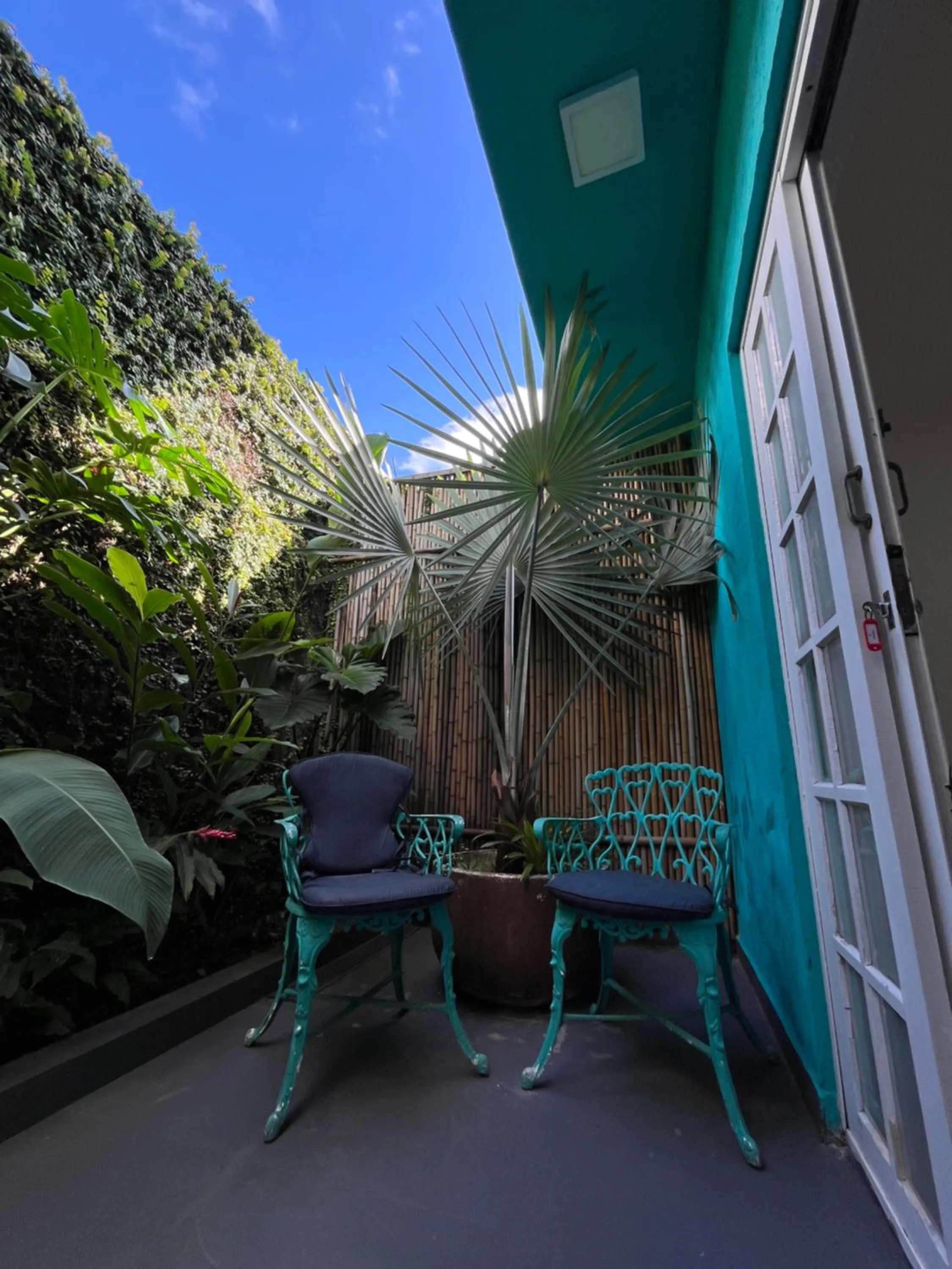 Garden view in Pousada Tô na Praia Juquehy