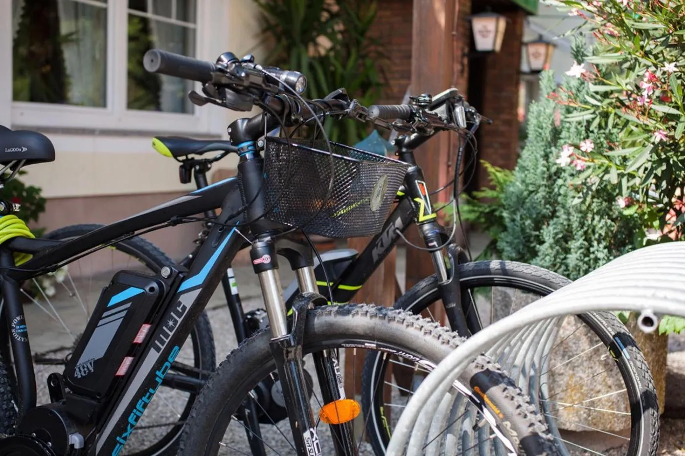 Cycling in Gasthof Blasl