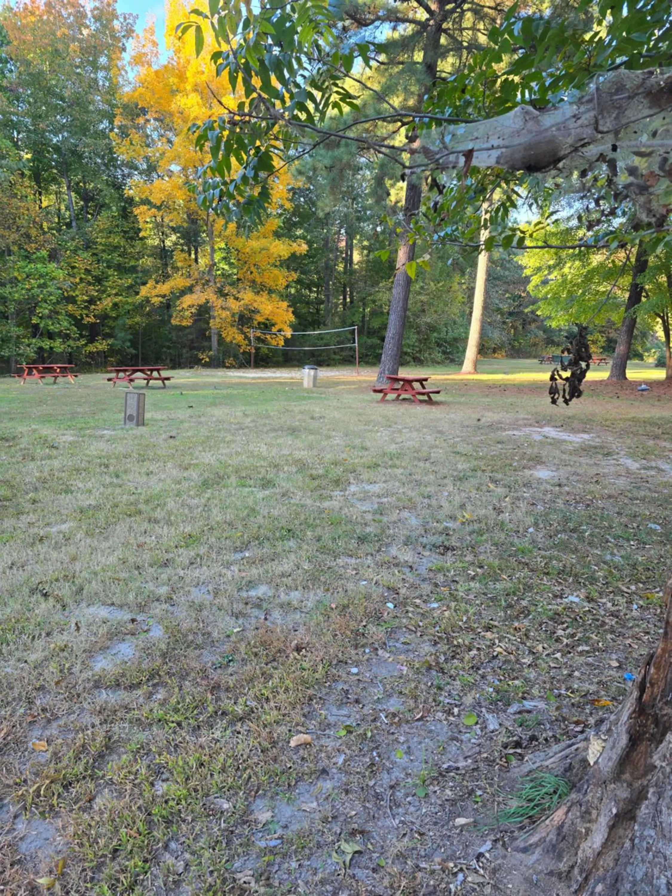 BBQ facilities in Wyndham Garden Williamsburg Busch Gardens Area