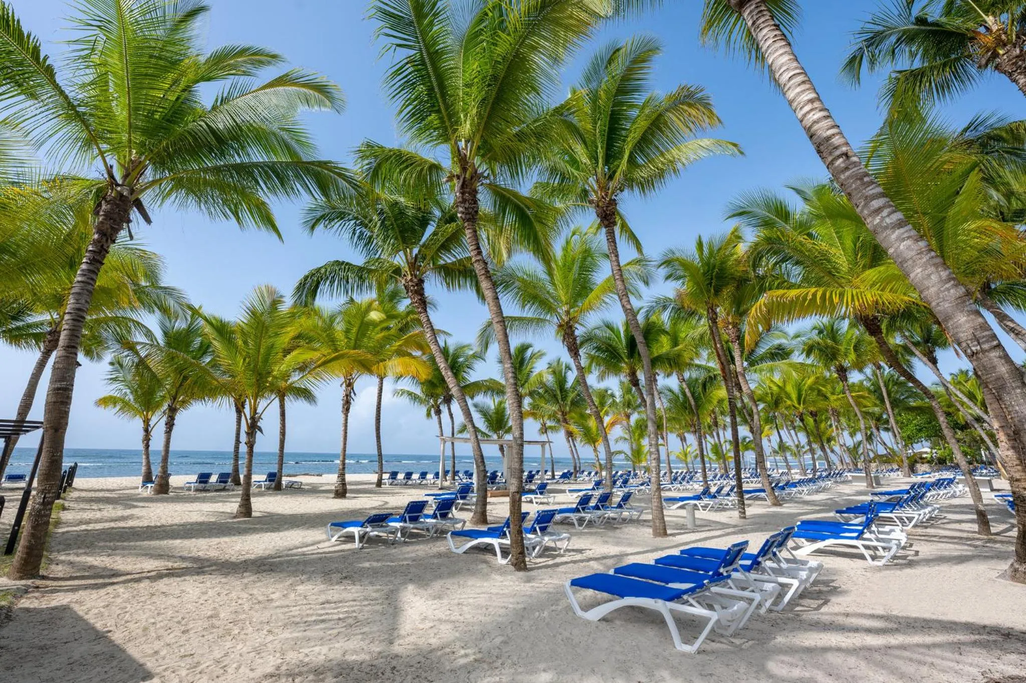 Beach in Coral Costa Caribe Beach Resort - All Inclusive