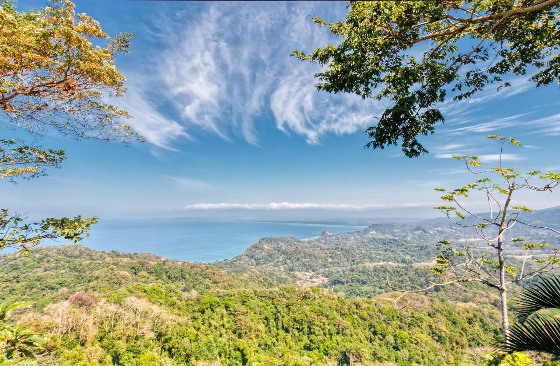 Natural landscape in Hotel Villa Caletas