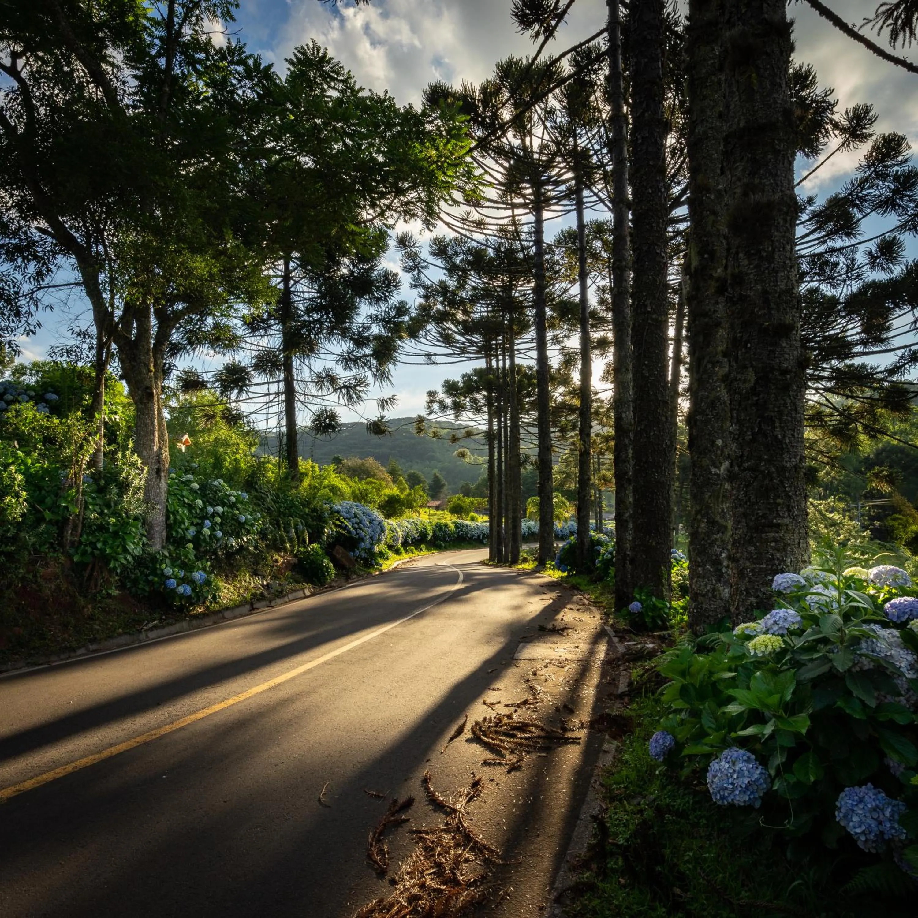 On site in Hotel Fioreze Chalés