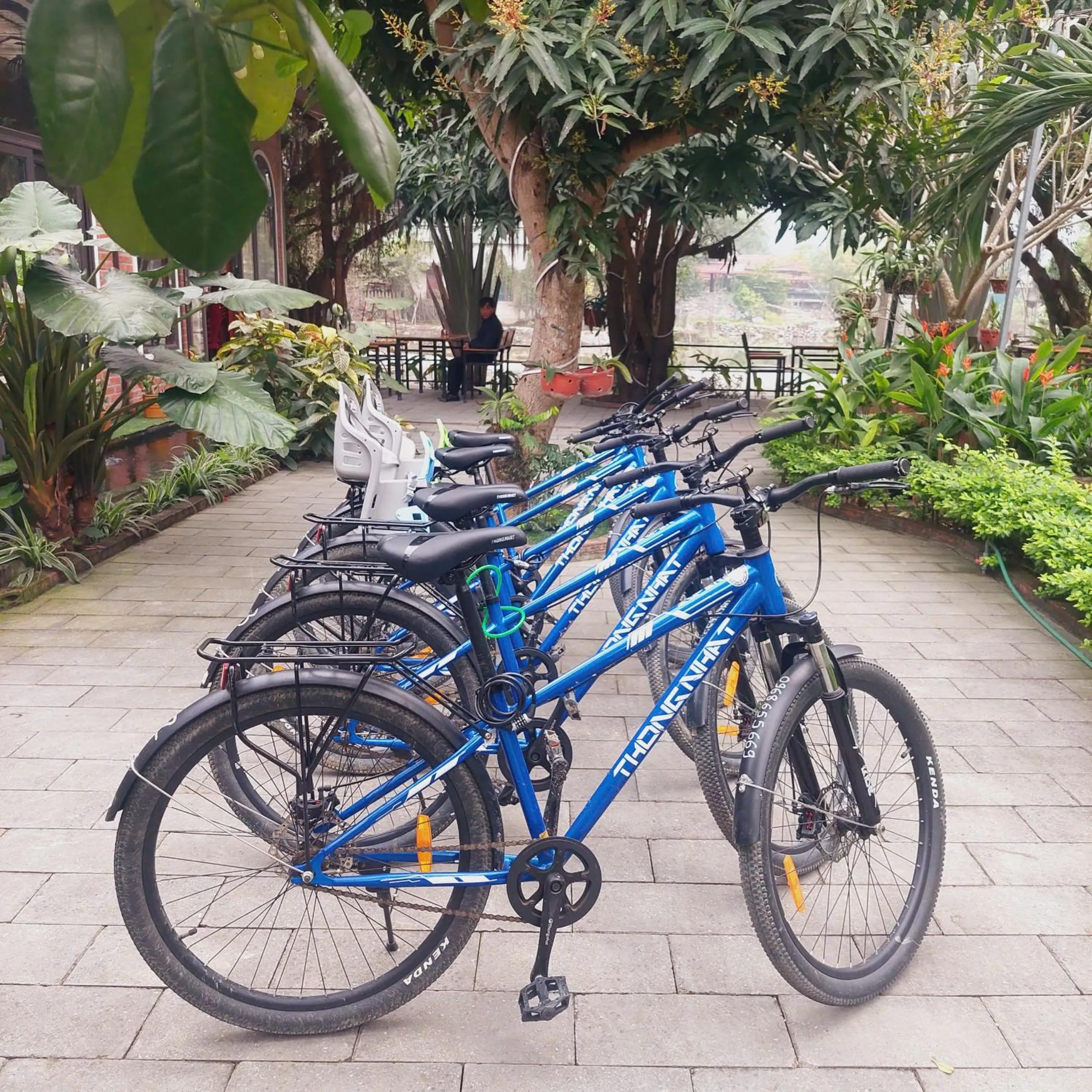 Cycling in Ninh Binh Mountain Side Homestay & Cafe