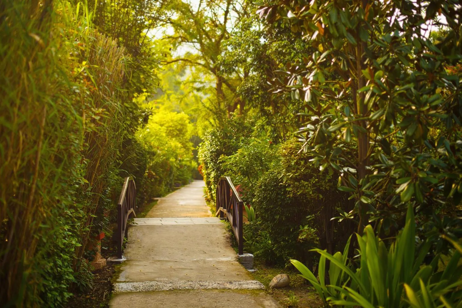 Garden in The Riverview Retreat Corbett by Leisure Hotels