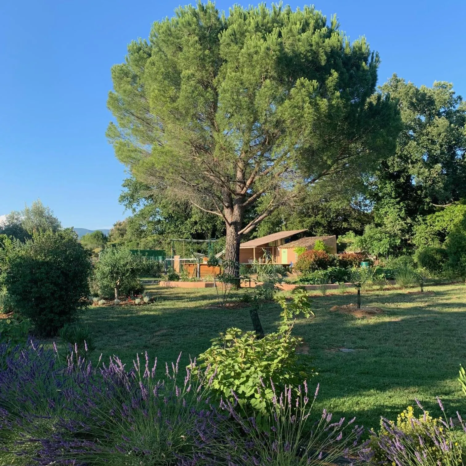 Chambre d'hôtes Le Cèdre