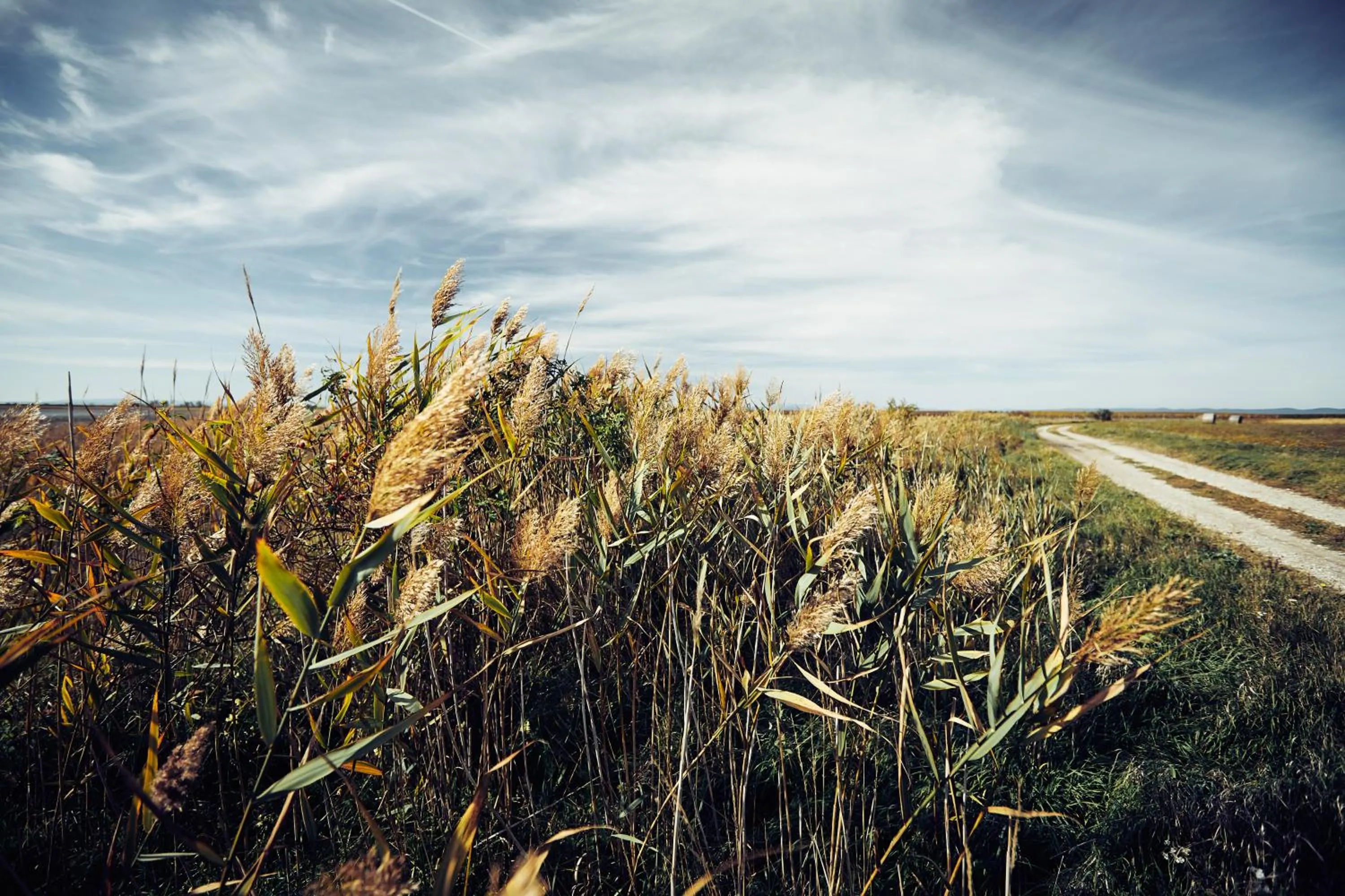 Natural landscape in Residenz Velich