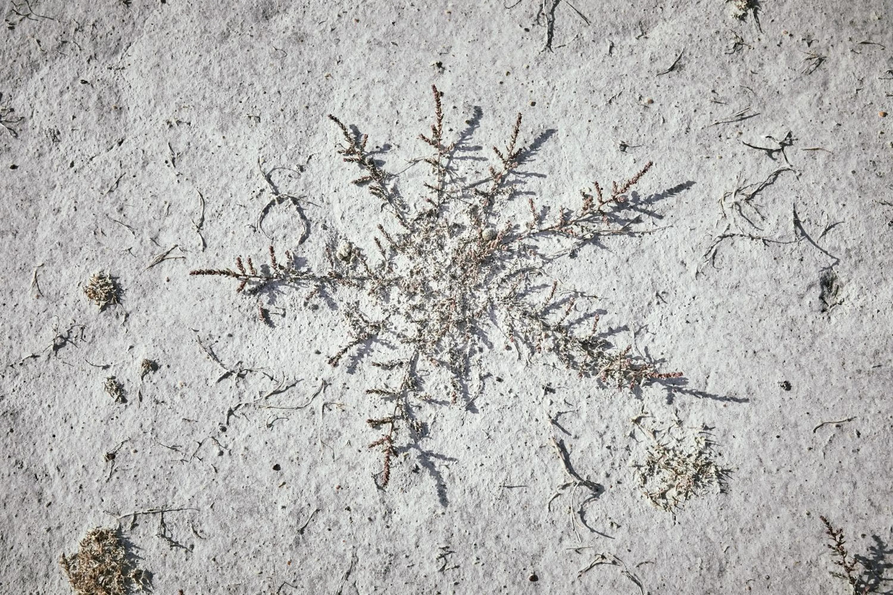 Natural landscape in Residenz Velich