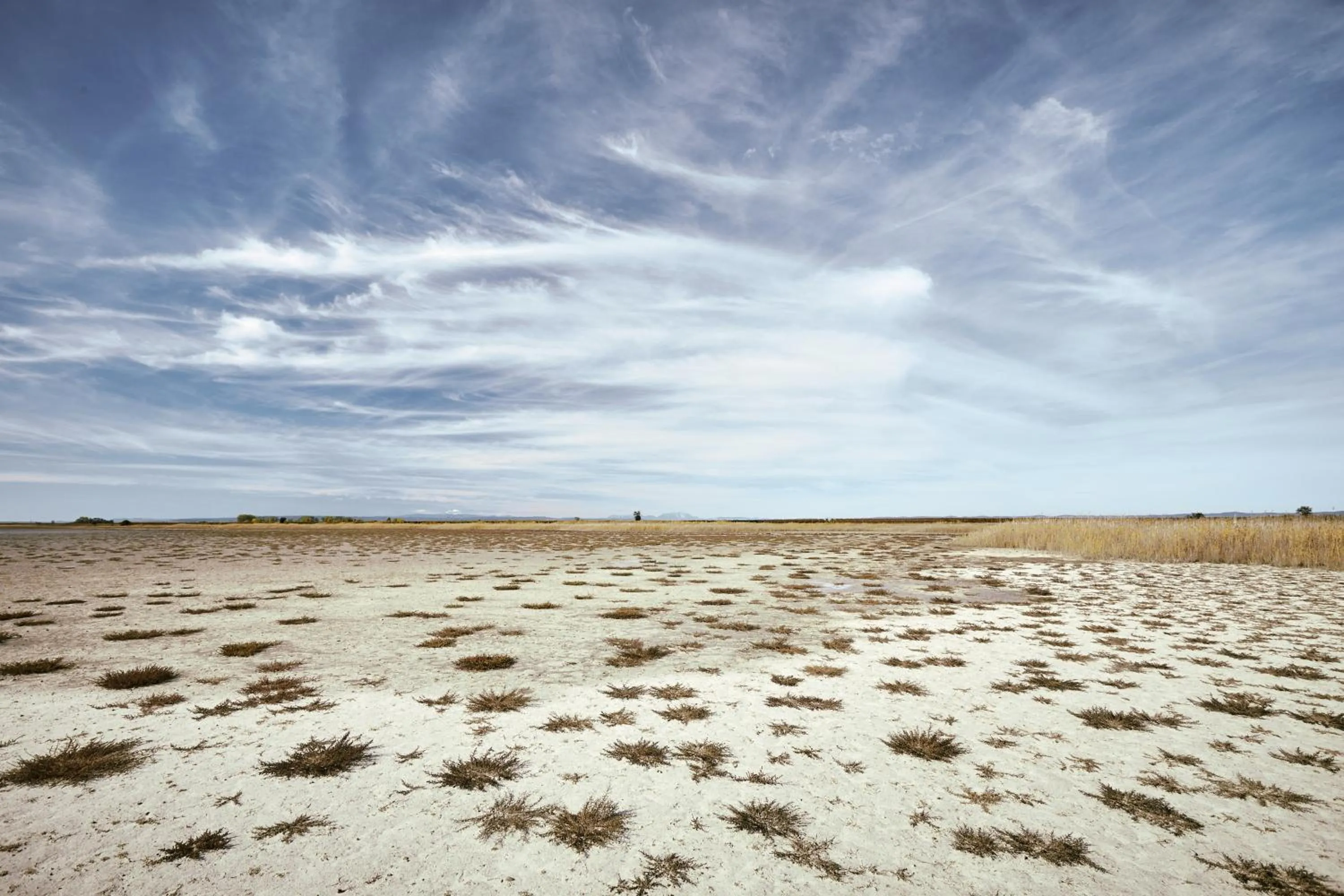 Natural landscape in Residenz Velich