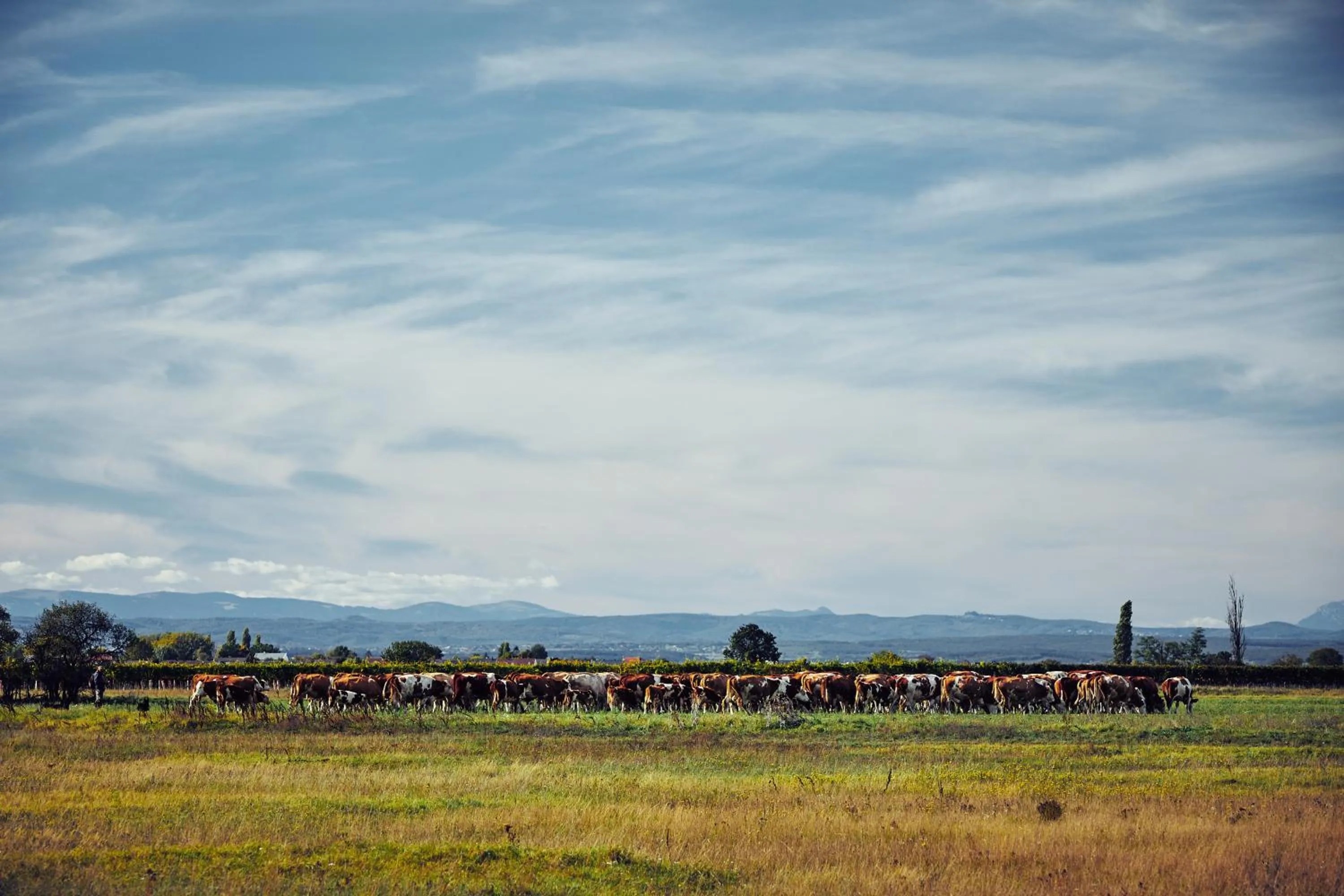 Natural landscape in Residenz Velich