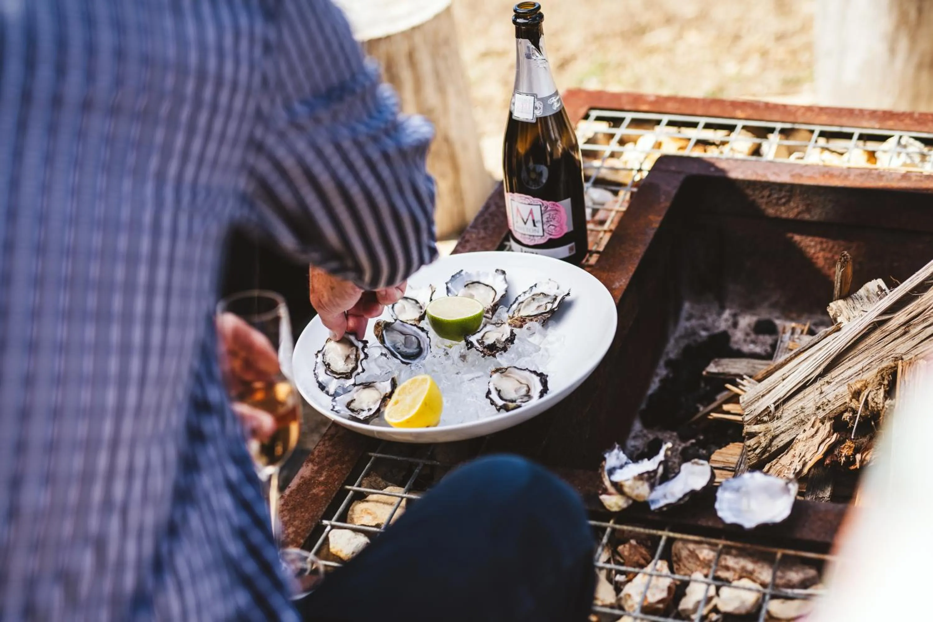 Swansea Beach Chalets