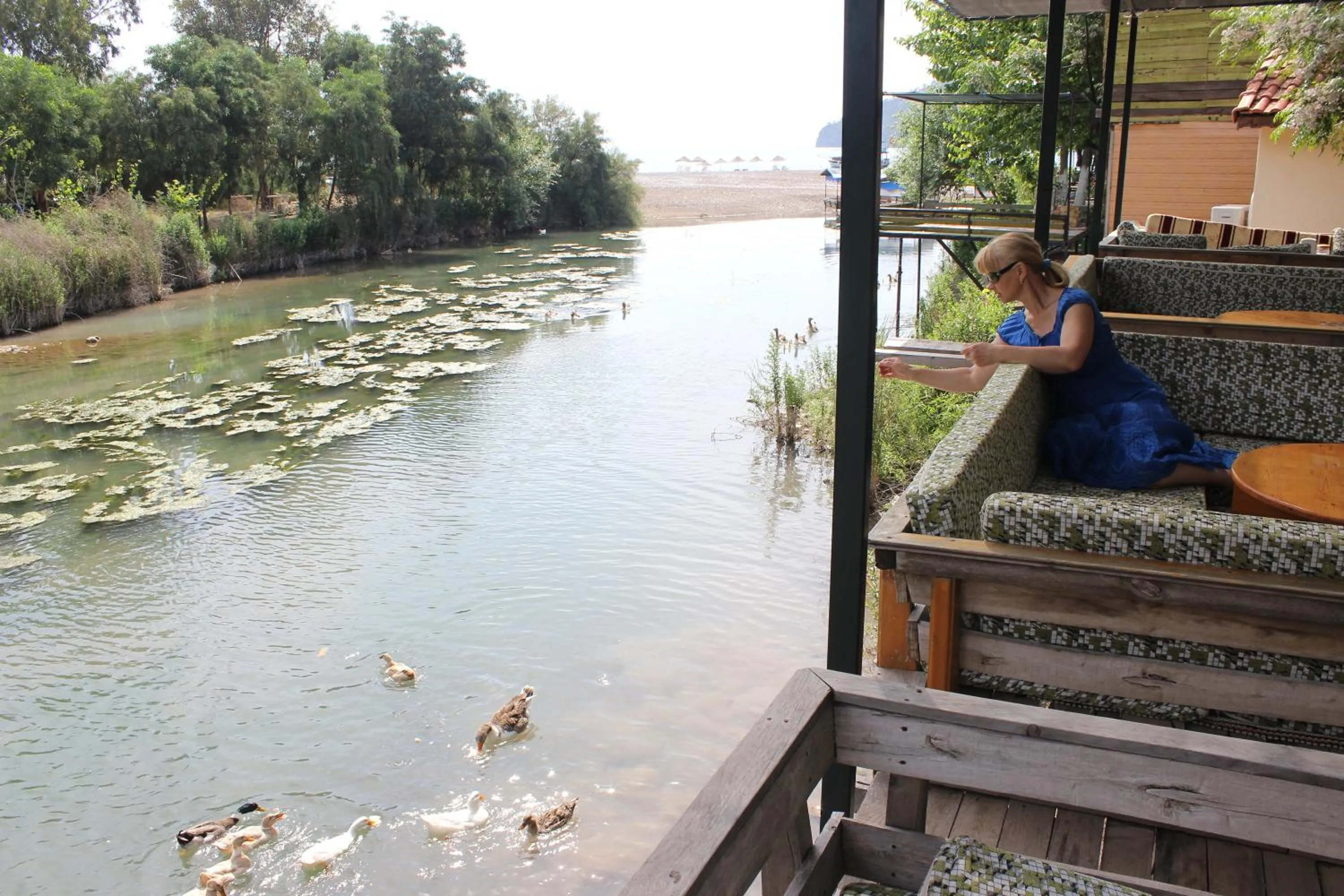 Spring in Duran Bungalow