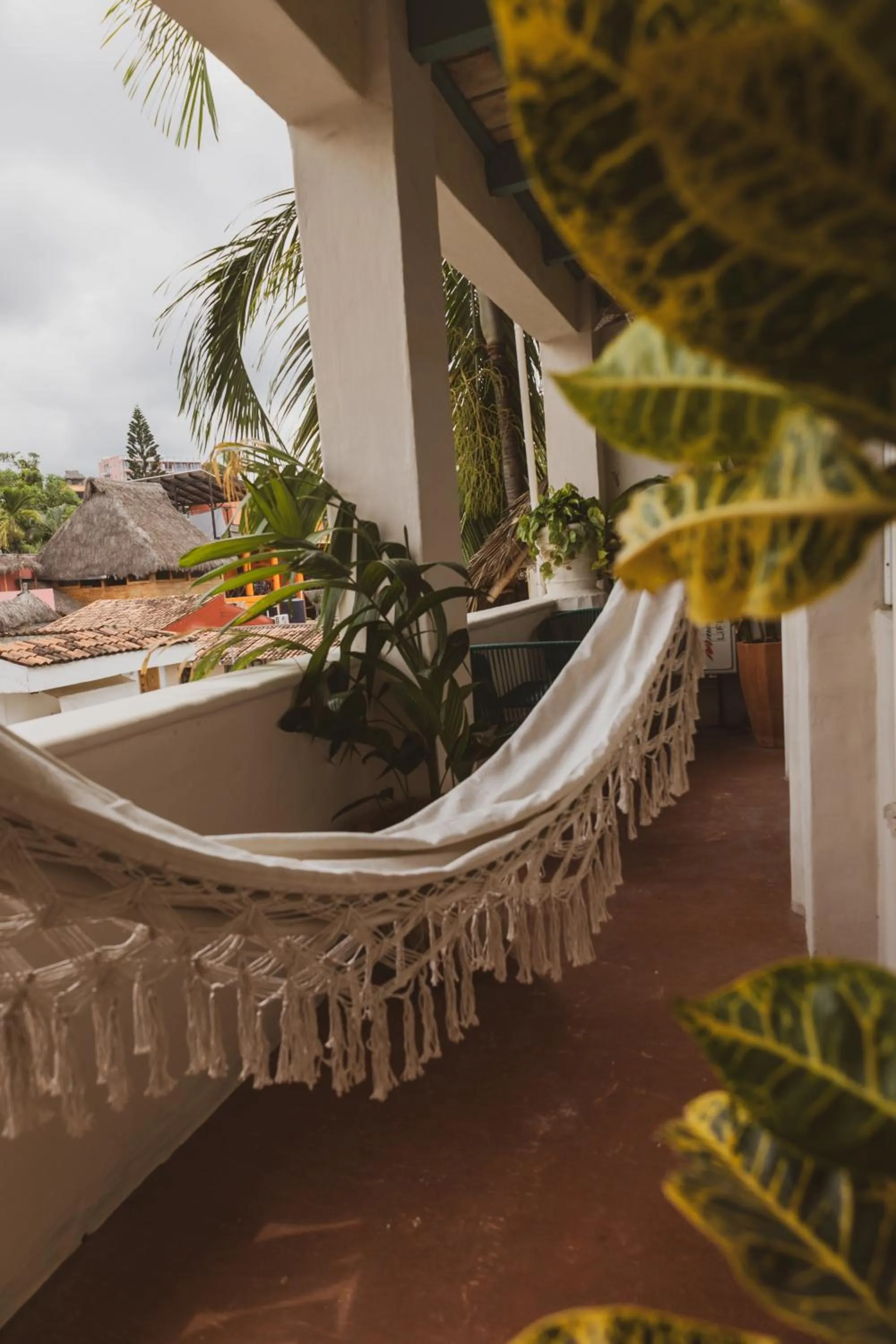 Garden in Sayulita Central Hotel