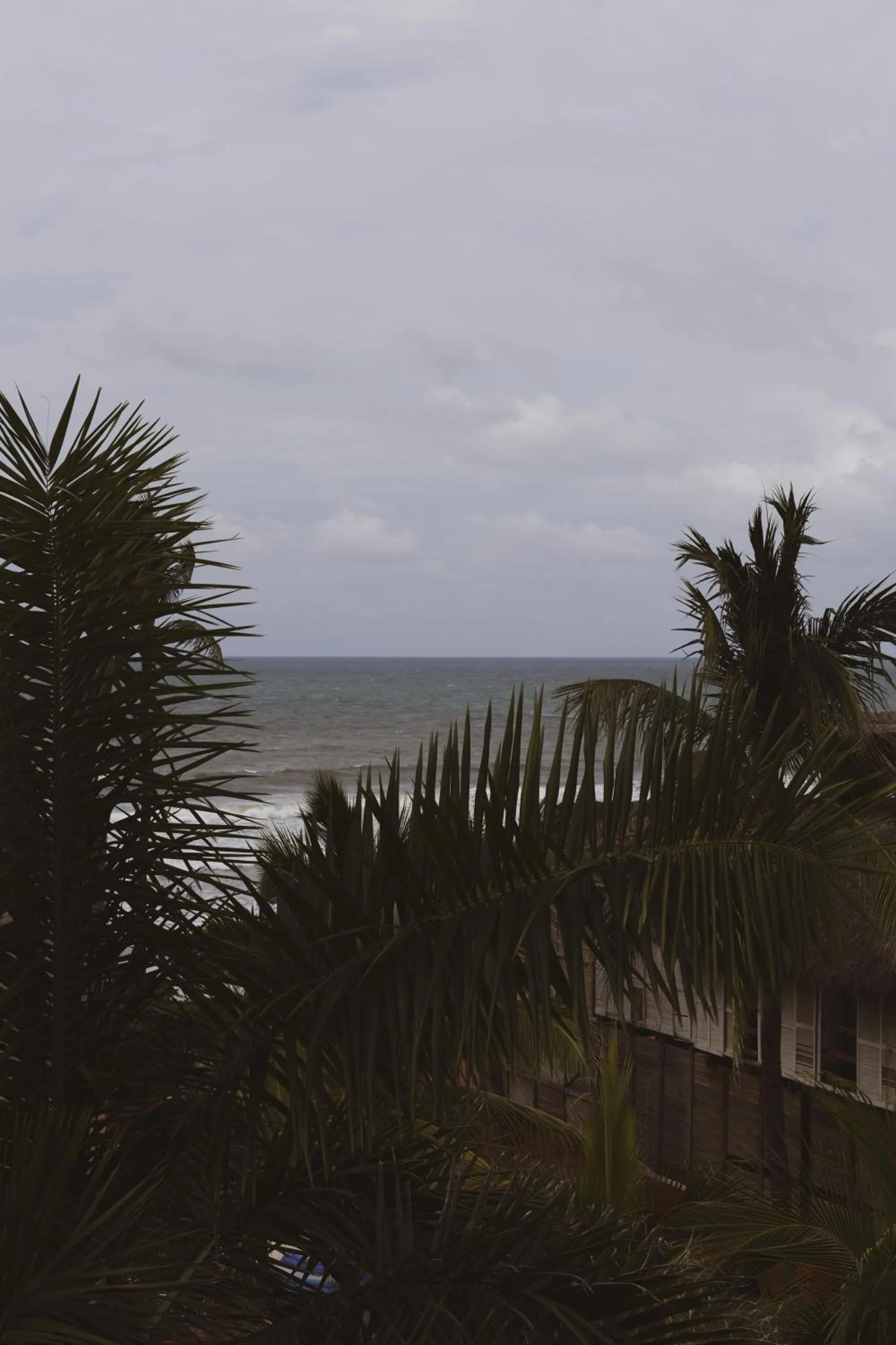 Natural landscape in Sayulita Central Hotel