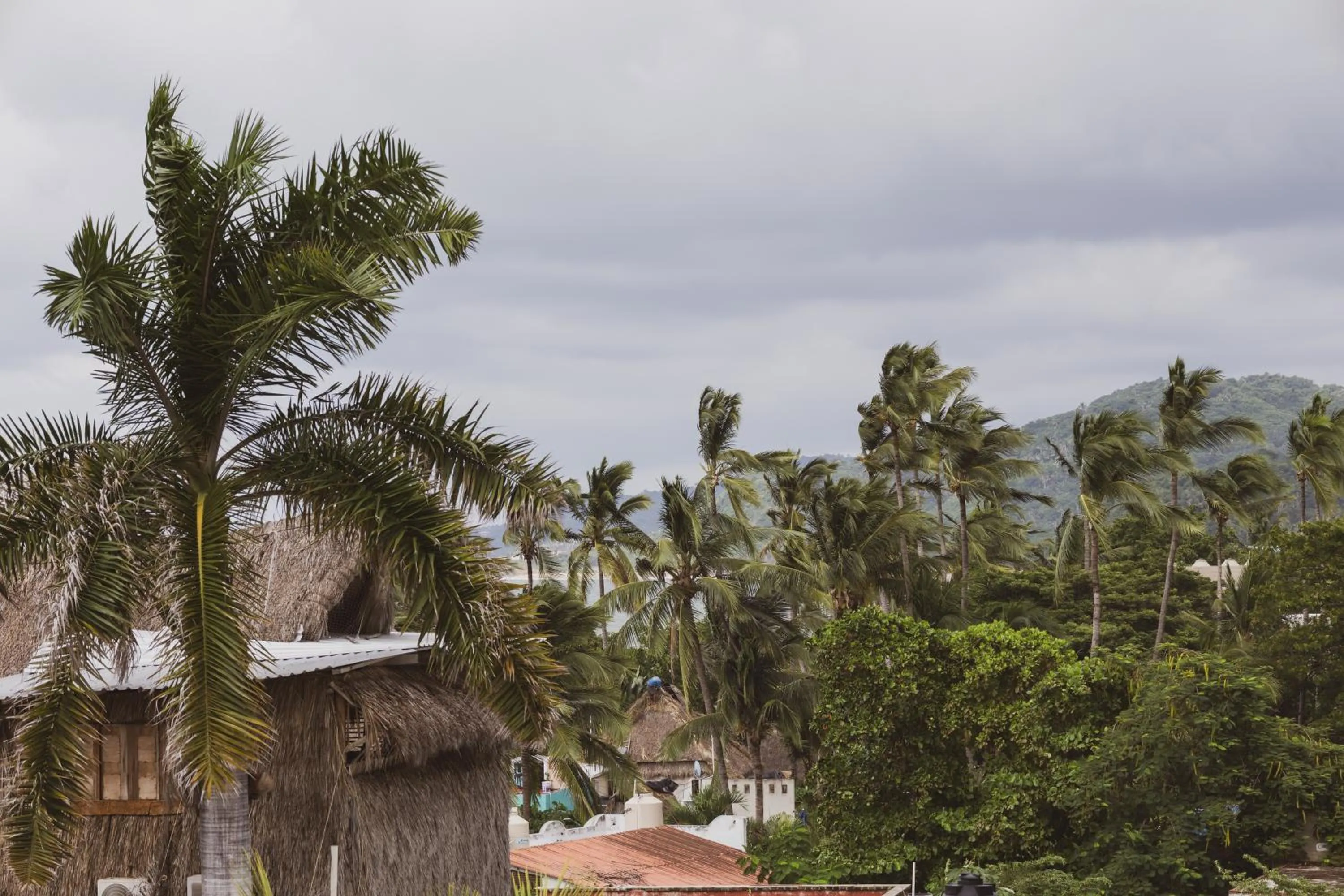 Day in Sayulita Central Hotel