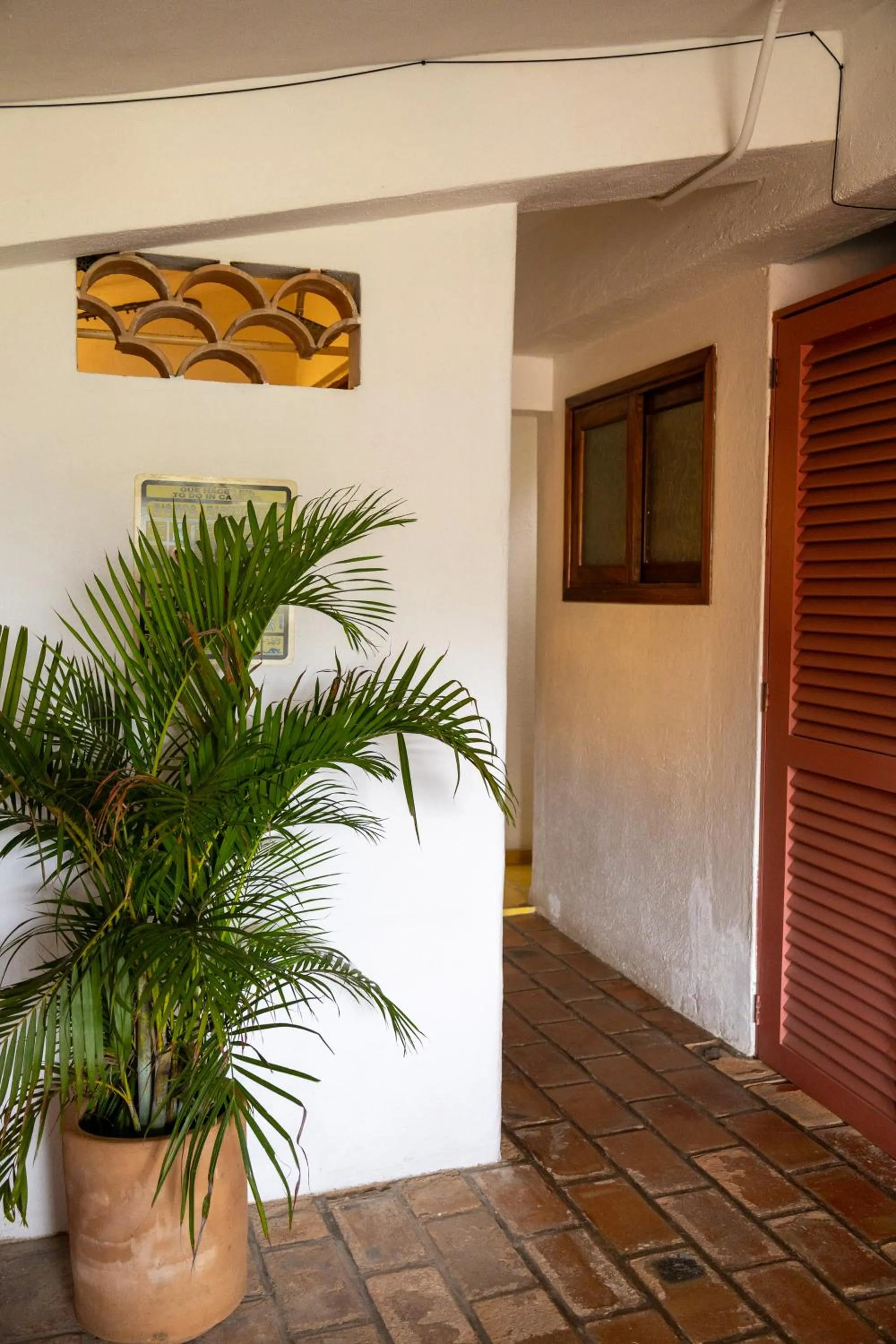 Day in Sayulita Central Hotel