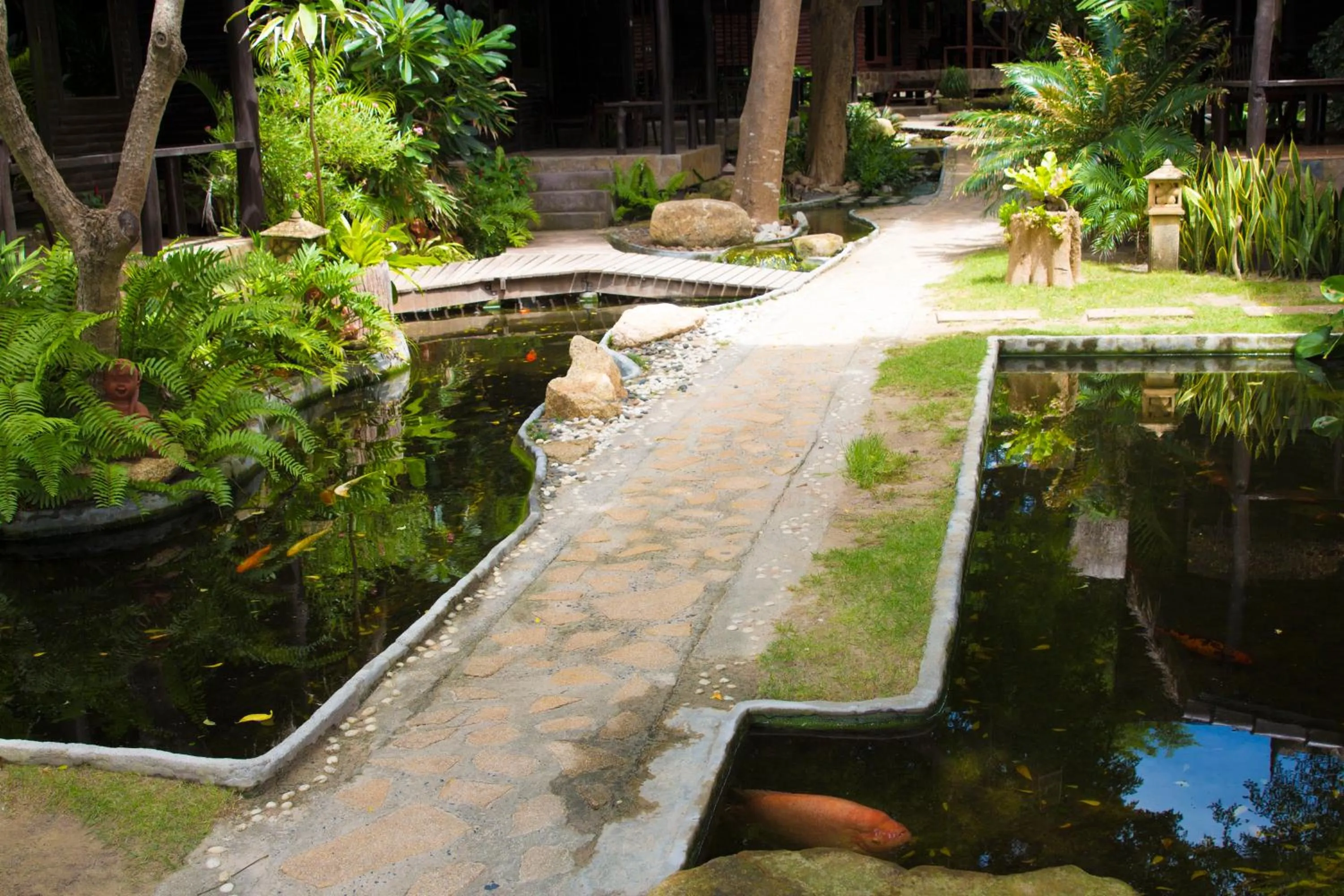 Garden in Tommy Resort