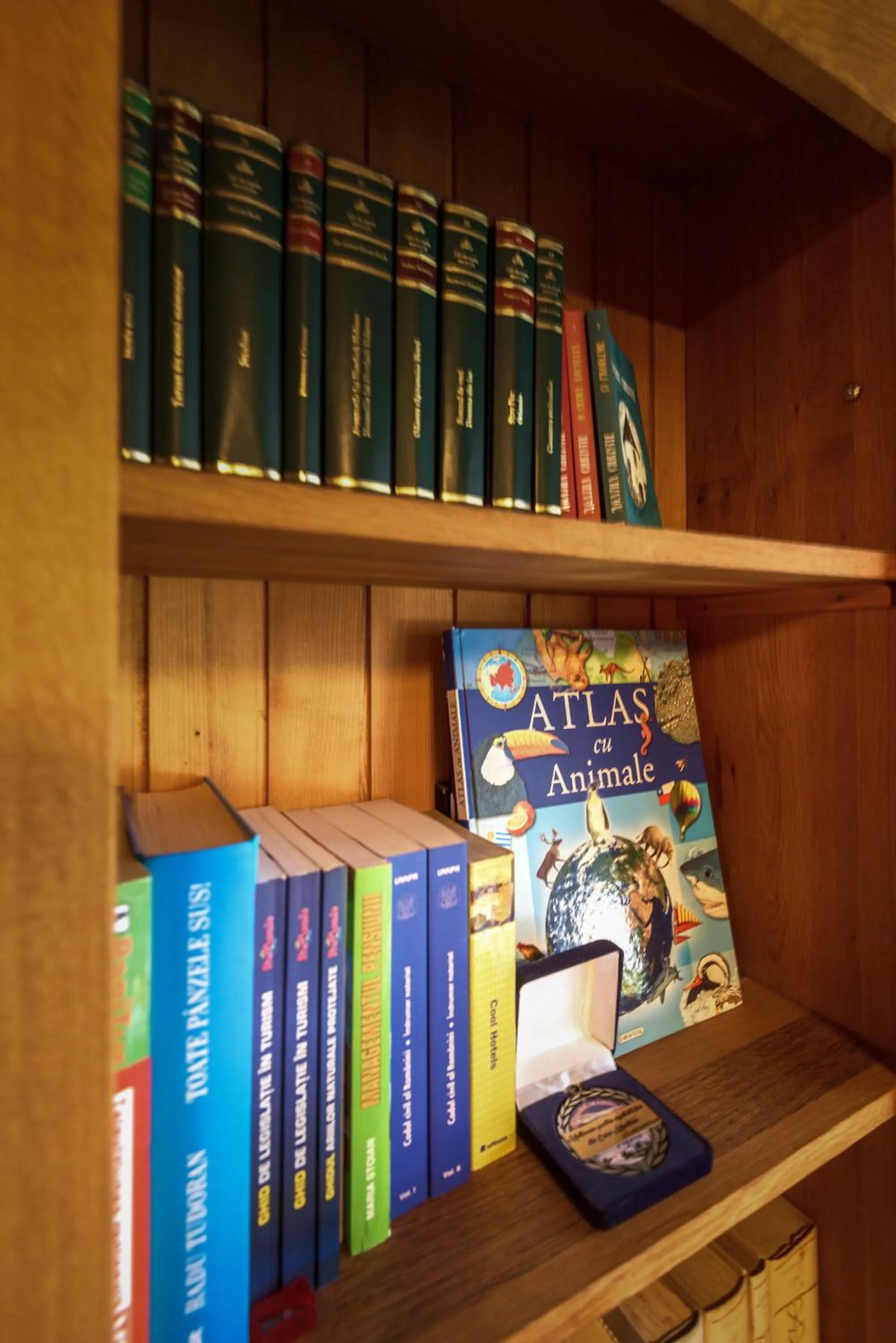 Library in Casa Muntelui