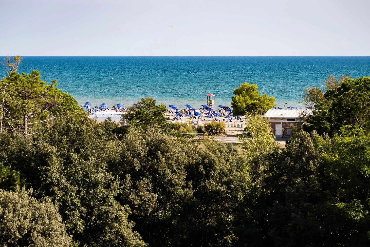 Property building in Mediterranee Family Hotel & Spa