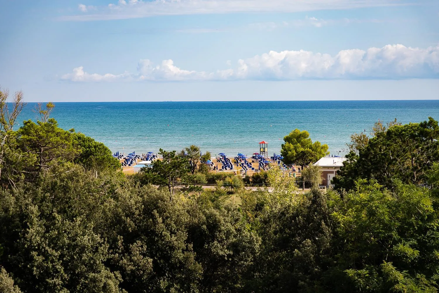 Sea view in Mediterranee Family Hotel & Spa