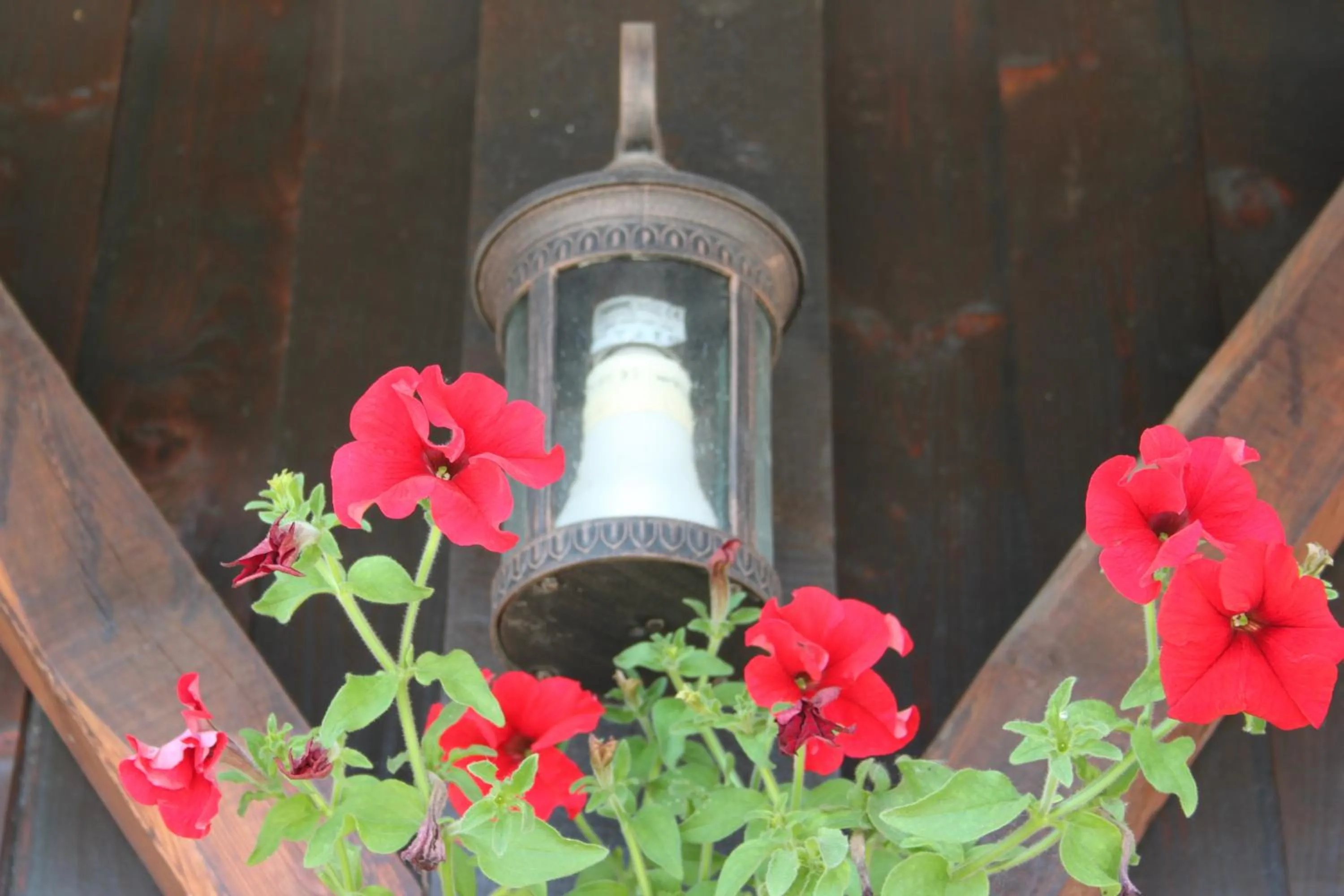 Property building in Hotel LaCetate