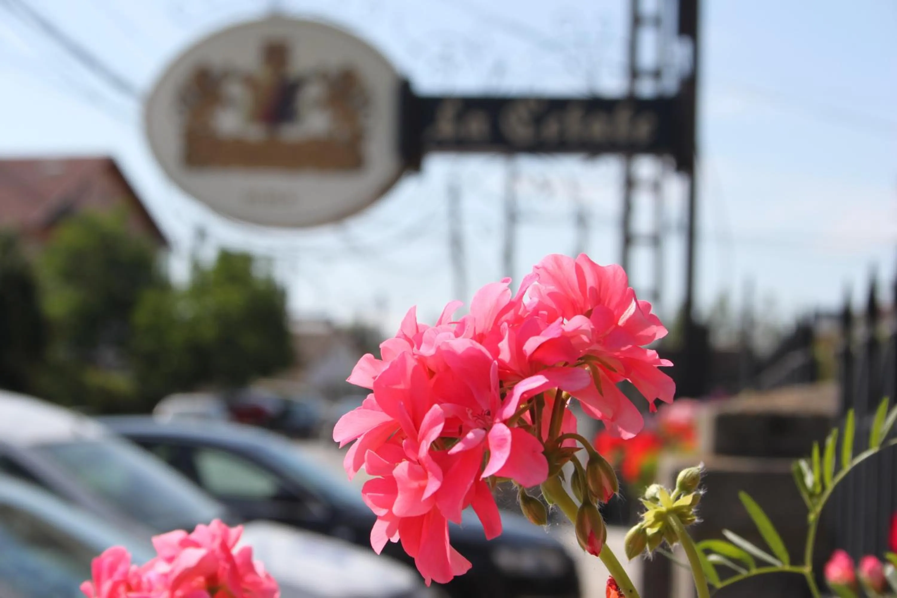 Property building in Hotel LaCetate