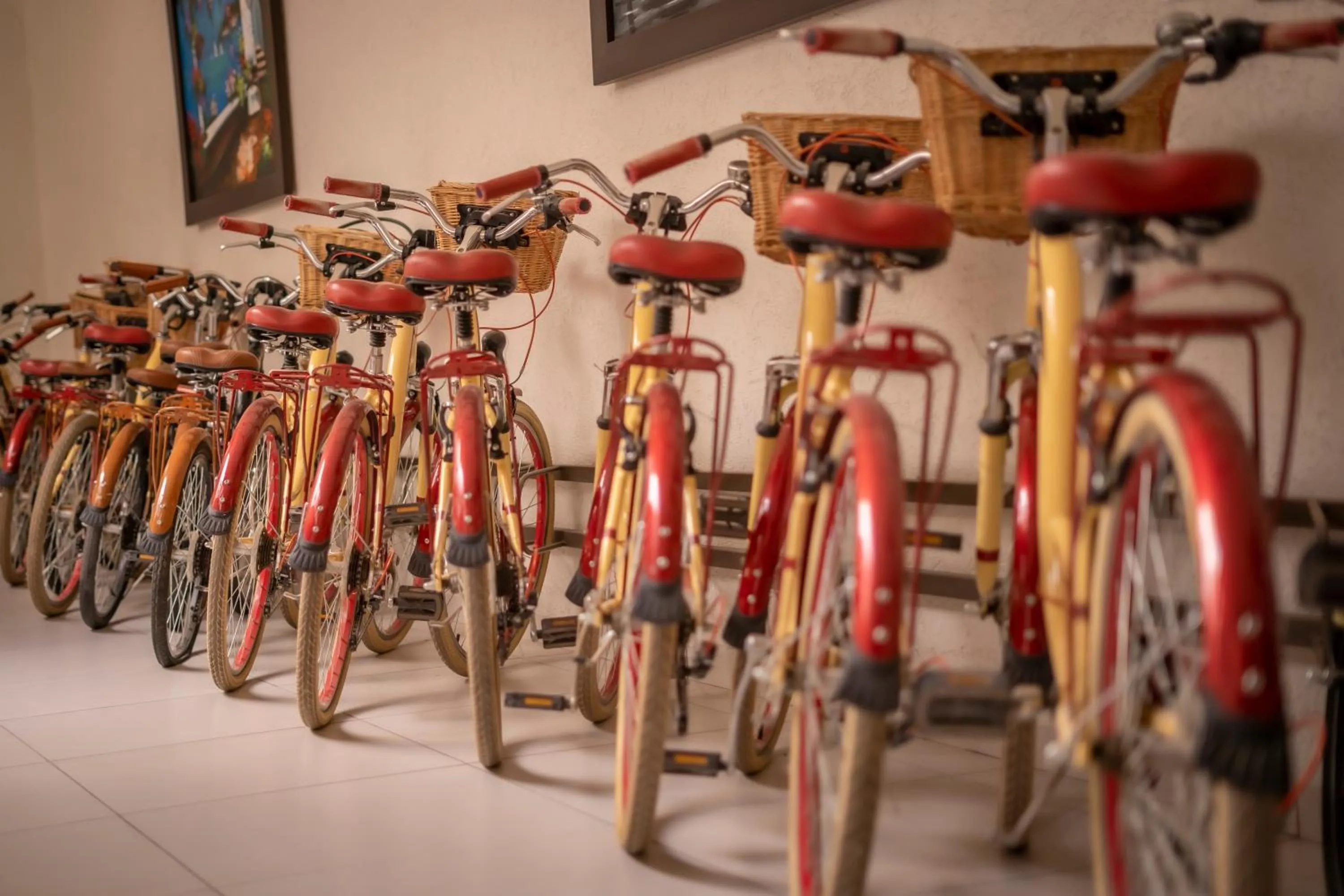 Cycling in Hotel SanJo