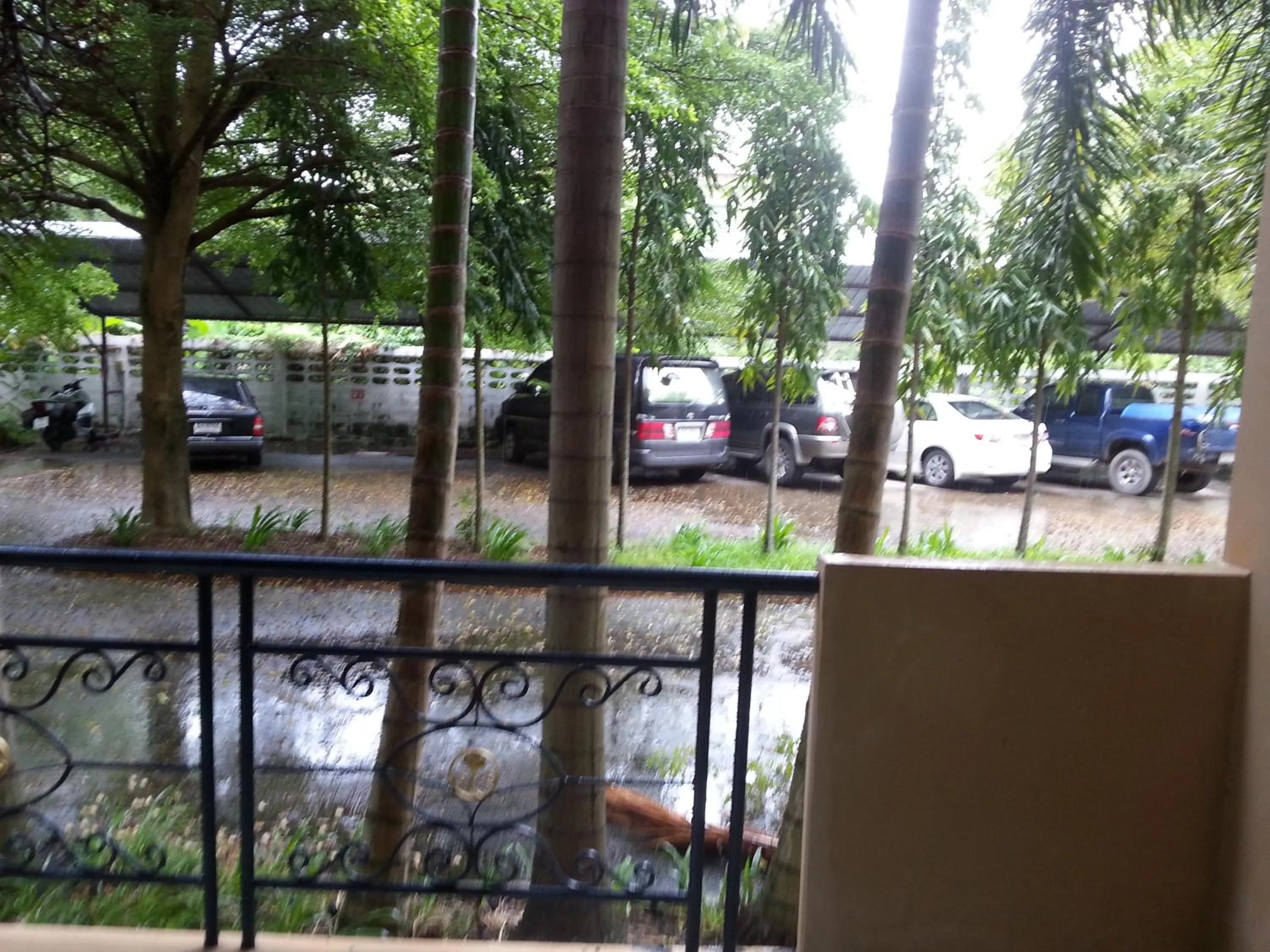 Area and facilities in C.A.P Mansion