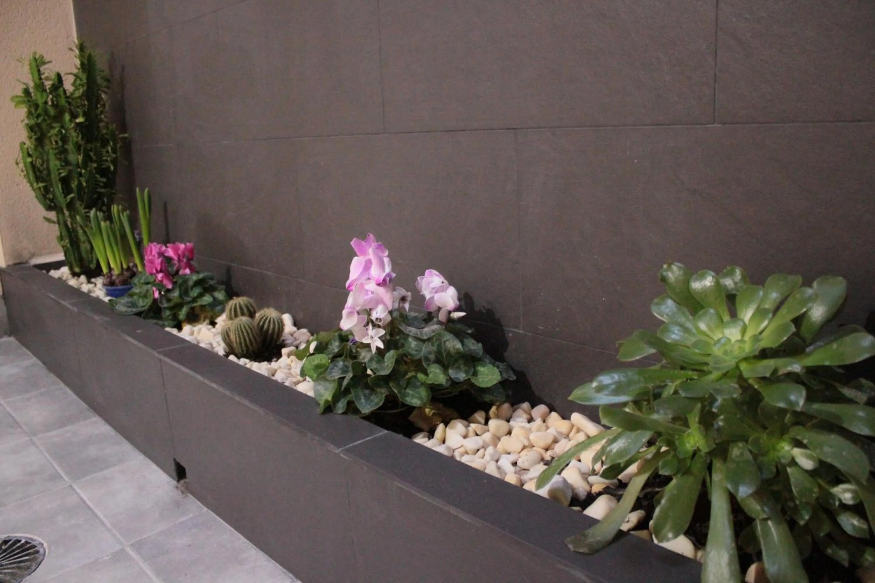 Garden in Hostal Pensimar