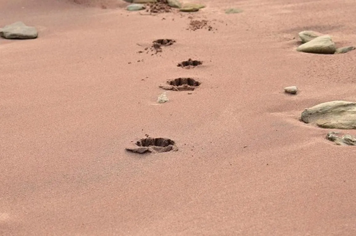 Area and facilities in Hotel Atlantique