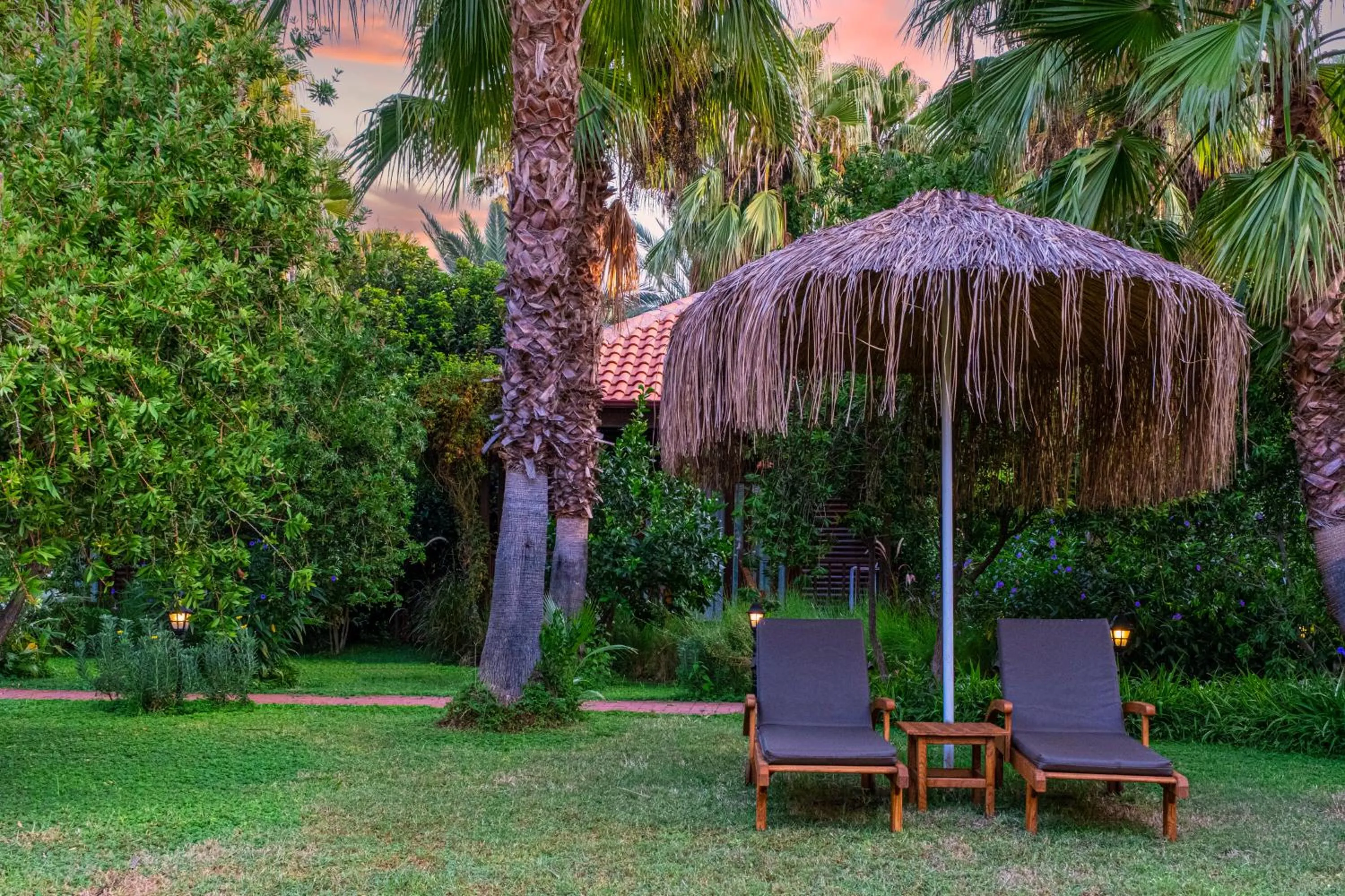 Garden in Villa Lukka