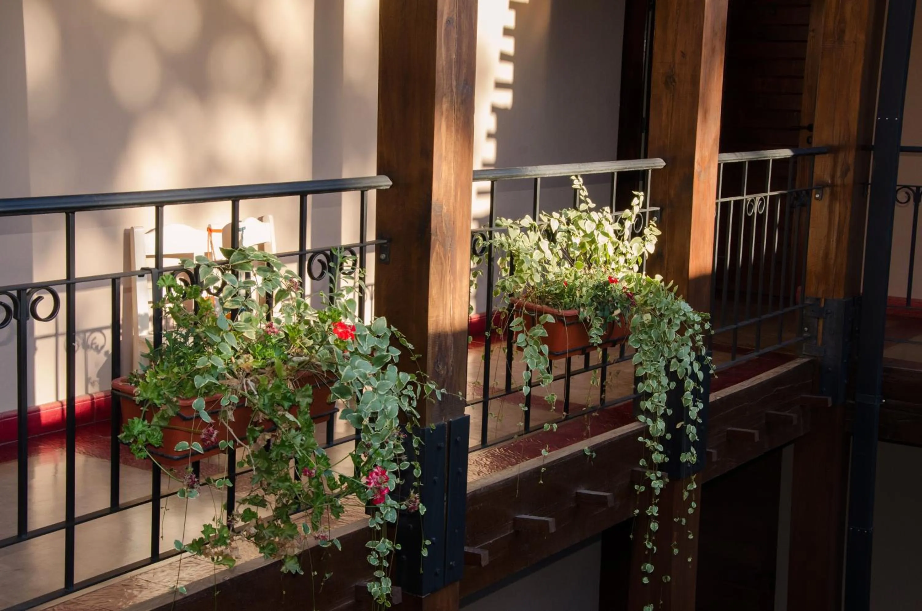 Garden in Munay Hotel Cafayate
