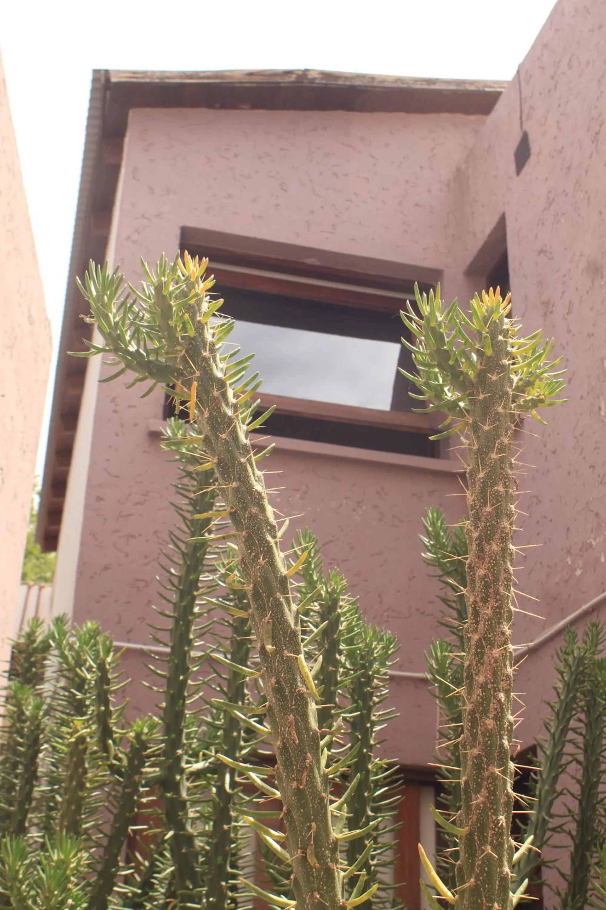 Property building in Munay Hotel Cafayate